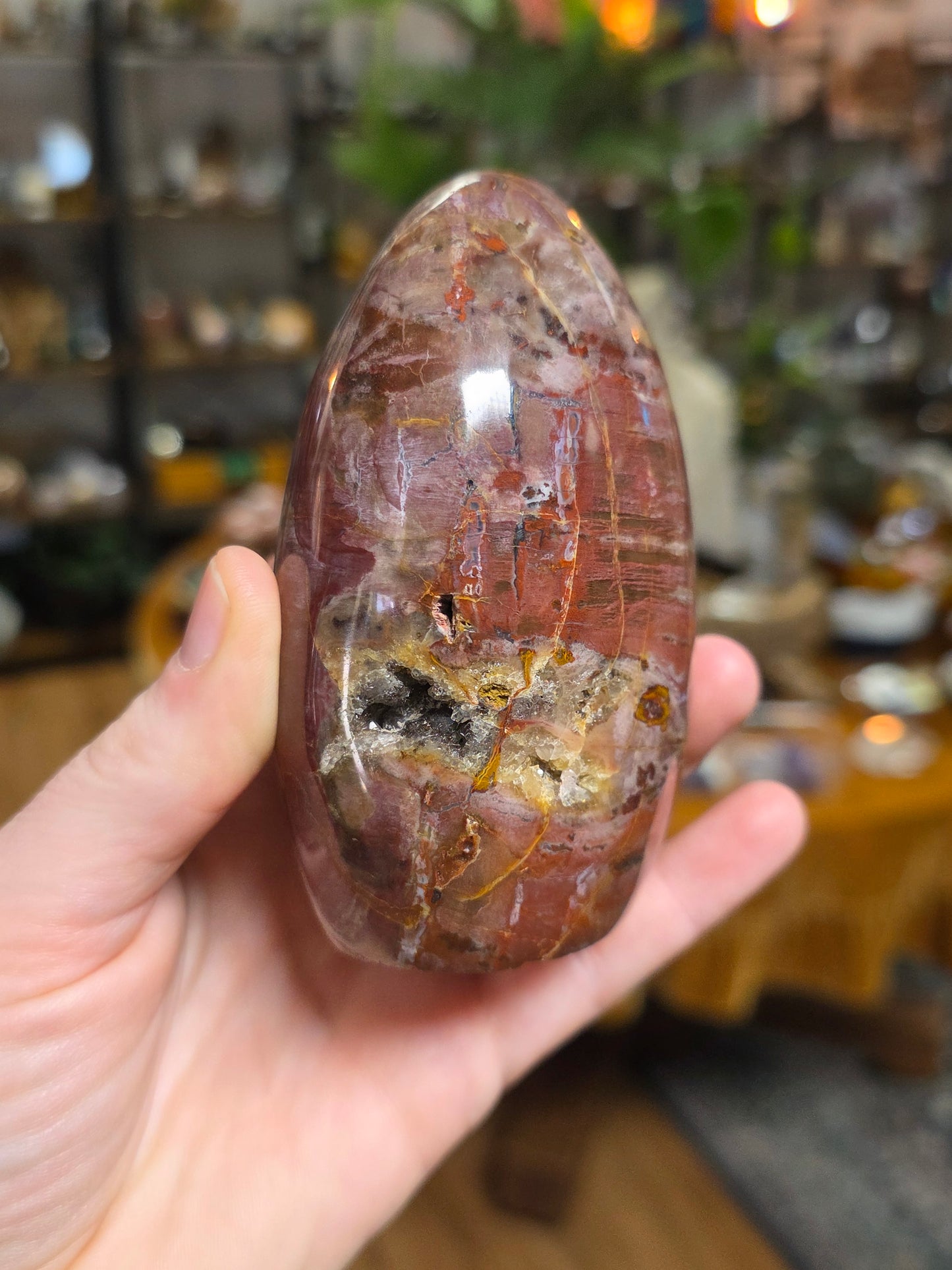 Petrified Wood Freeform