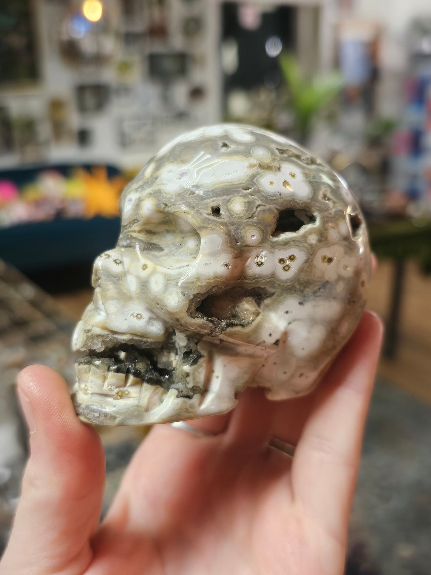 Orbicular Jasper Skull