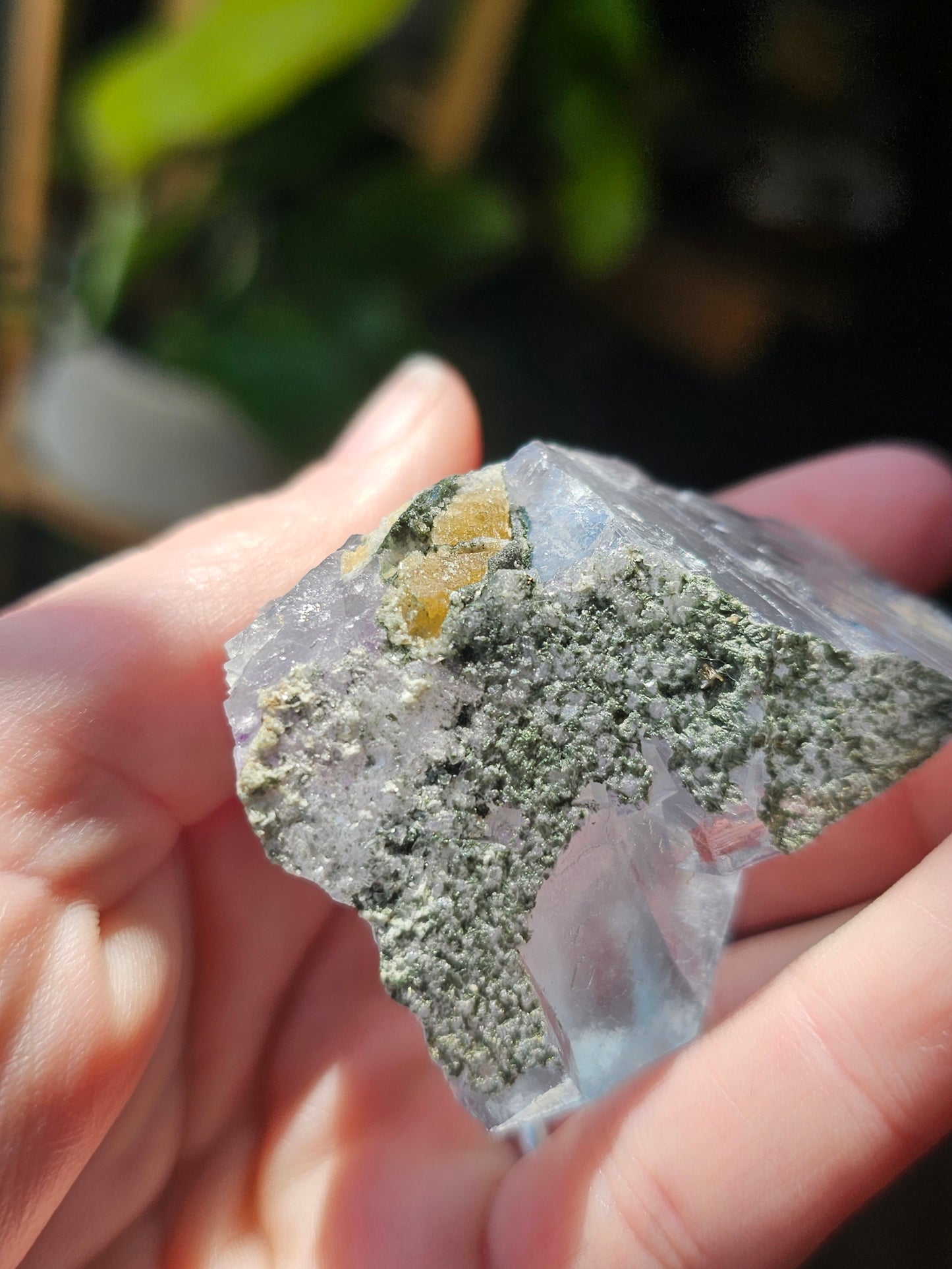 Blue Fluorite
