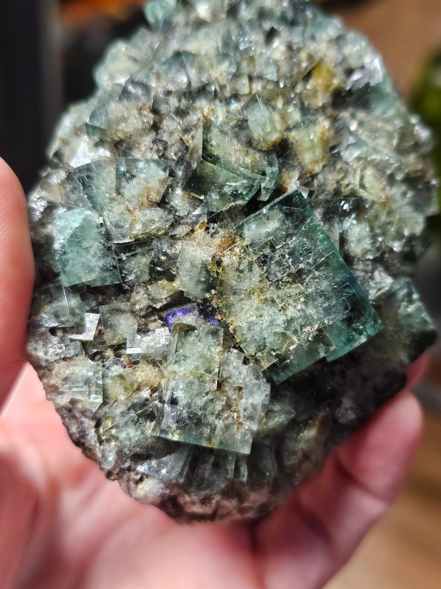 Diana Maria Fluorite ( Hidden Forest Pocket)