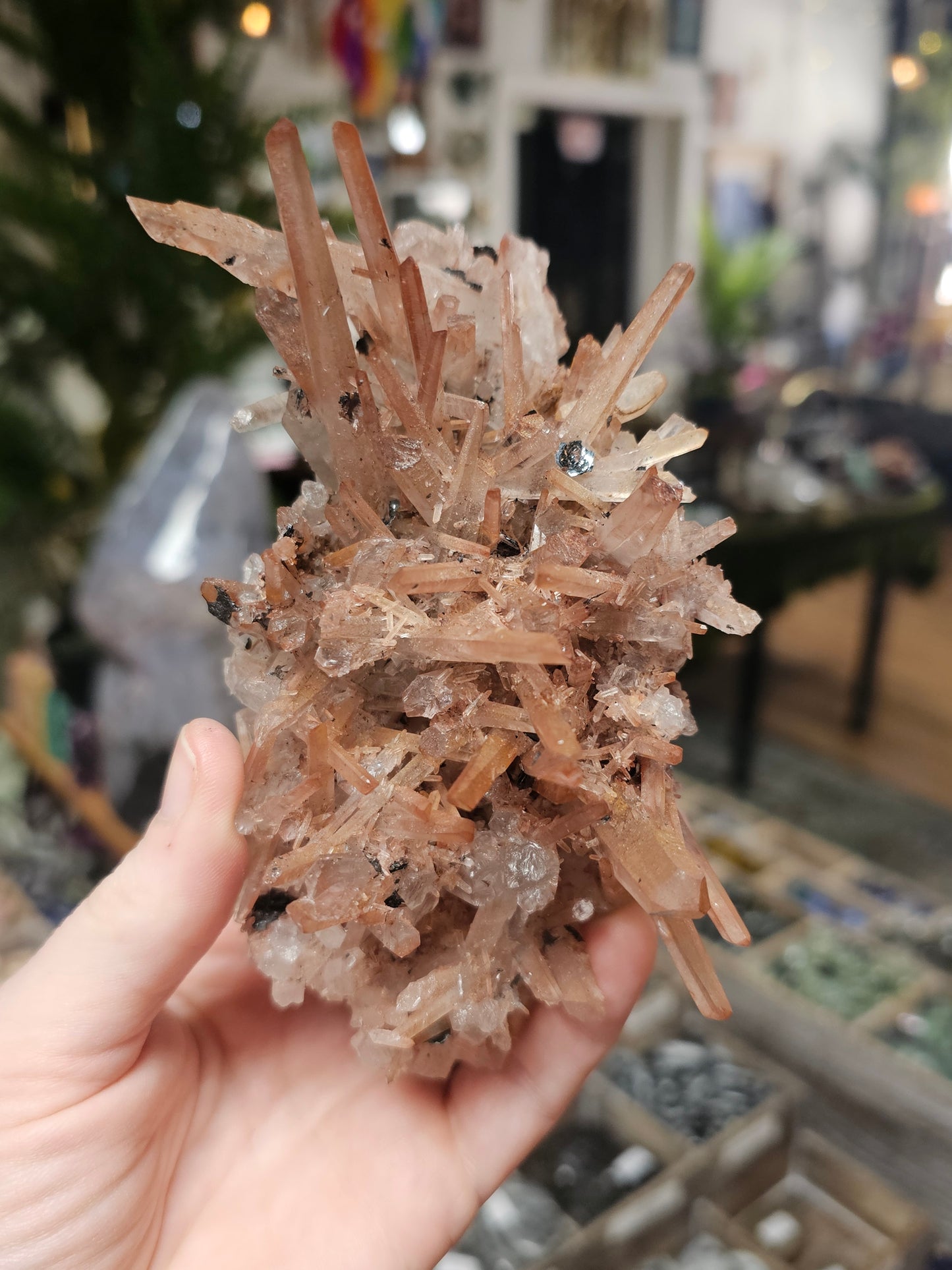 Specular Hematite on Quartz