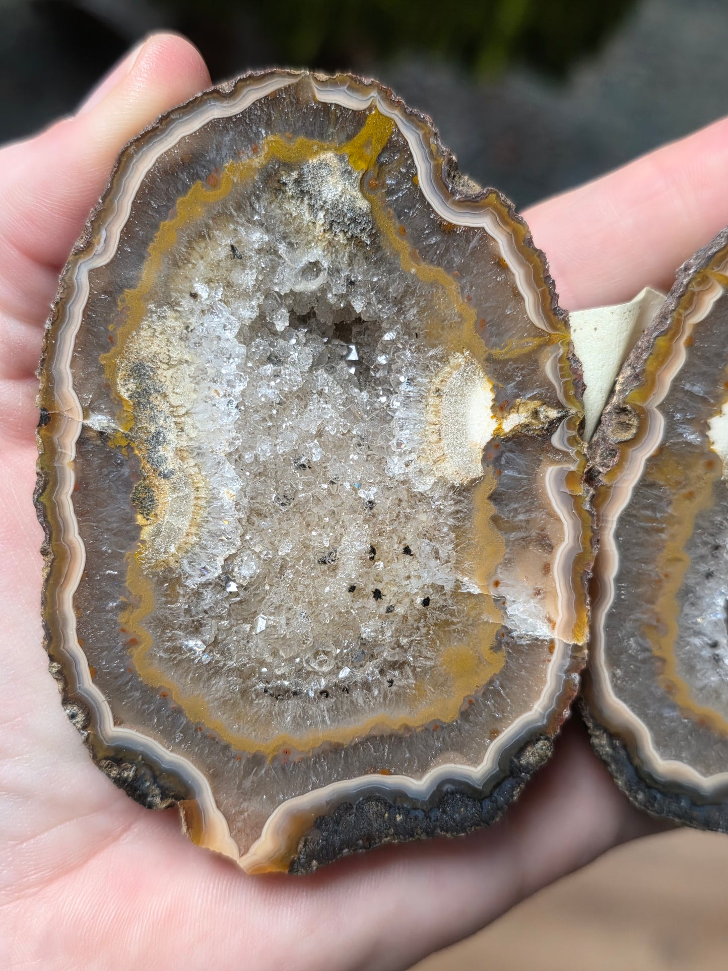 Fighting Blood agate