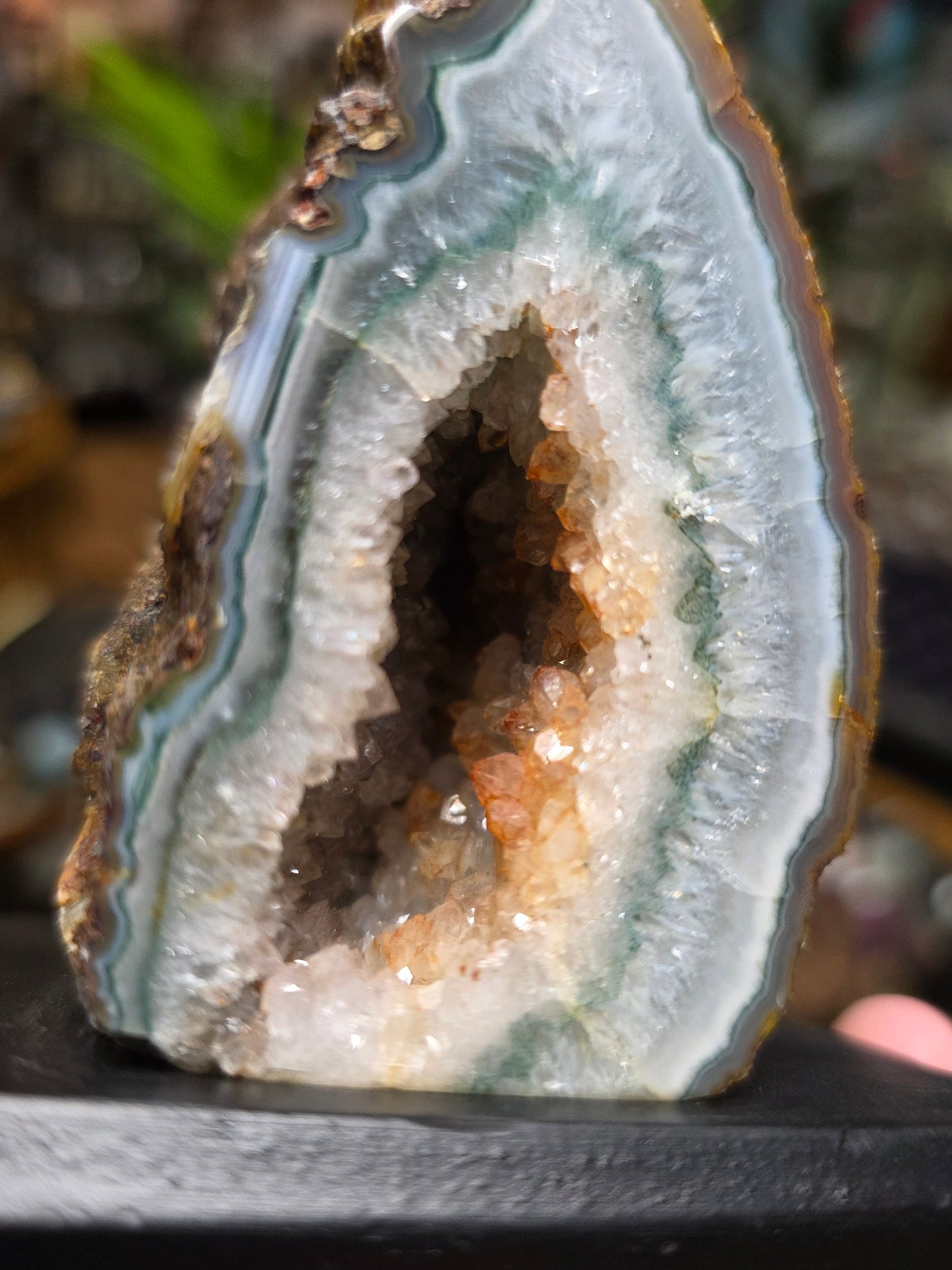 Agate Halve  on Wooden Stand