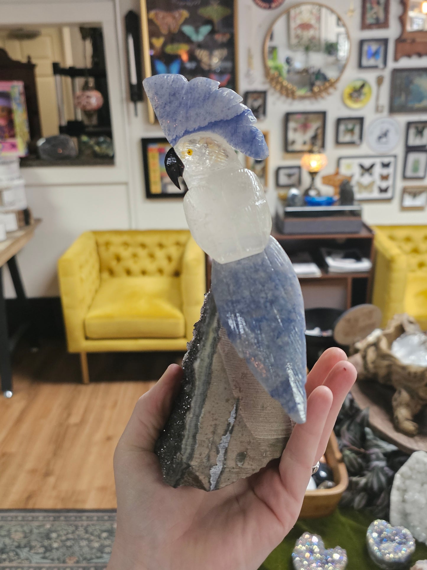 Quartz & Blue Adventurine Cockatoo Carving On Black Amethyst Cut Base Freeform