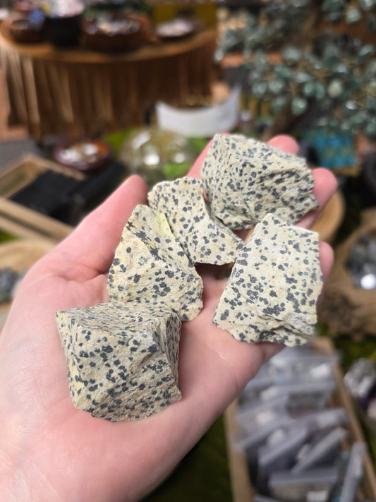 Dalmatian Jasper Raw Stone