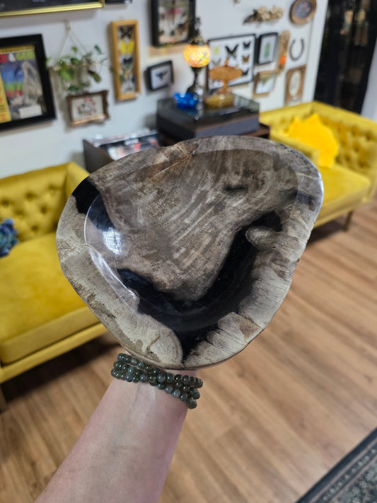 Petrified Wood Bowl