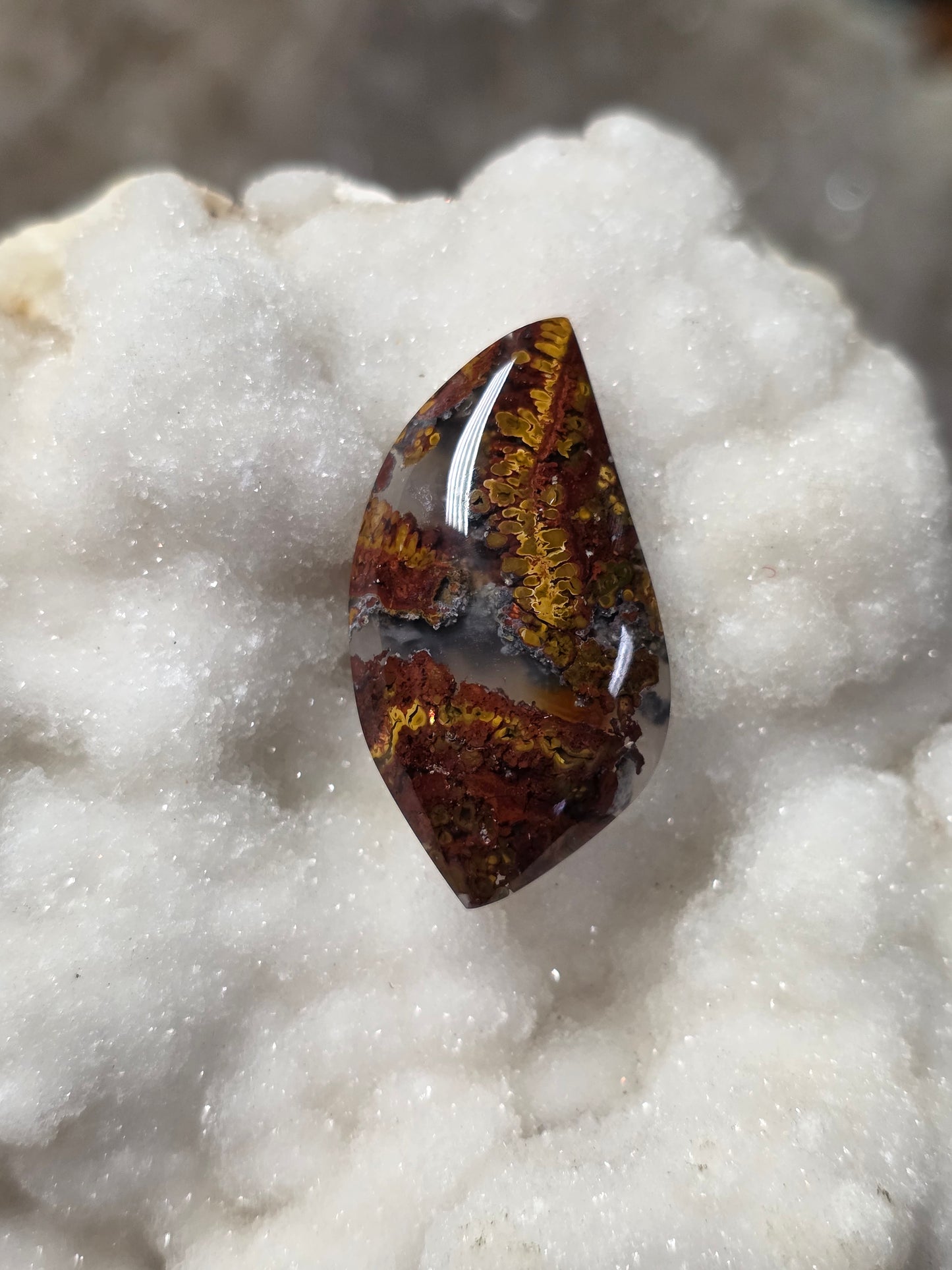 Red Moss Agate Cabochon