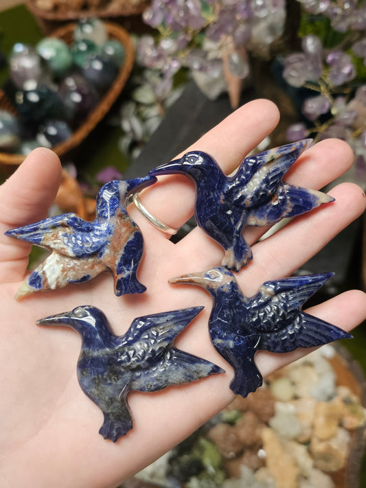 Sodalite Hummingbird Carving