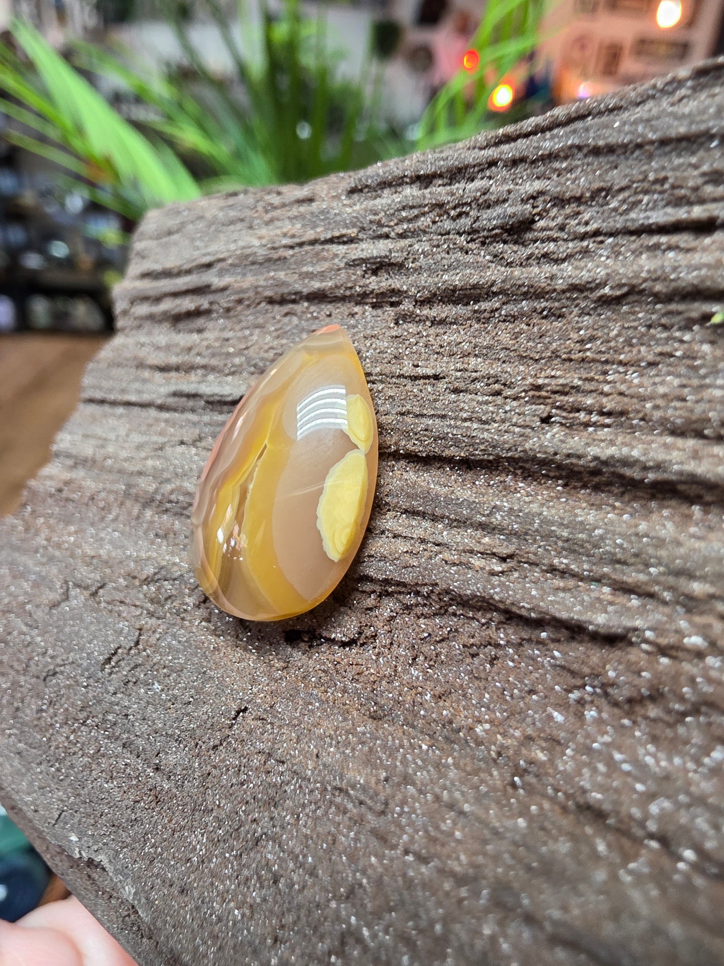 Laguna Agate Cabochon