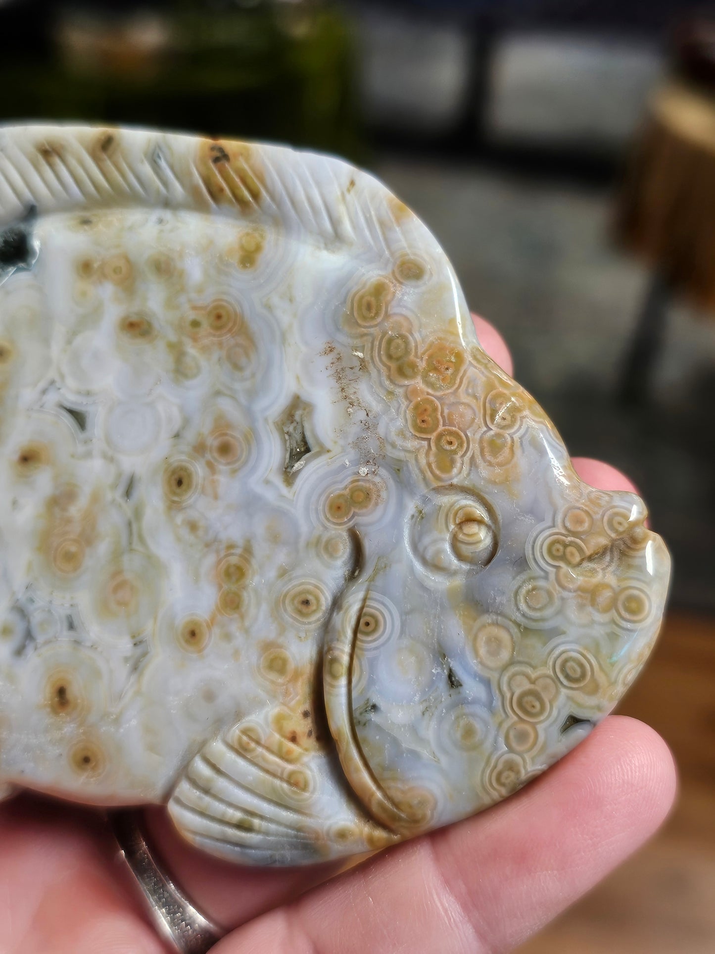 8th Vein Ocean Jasper Fish