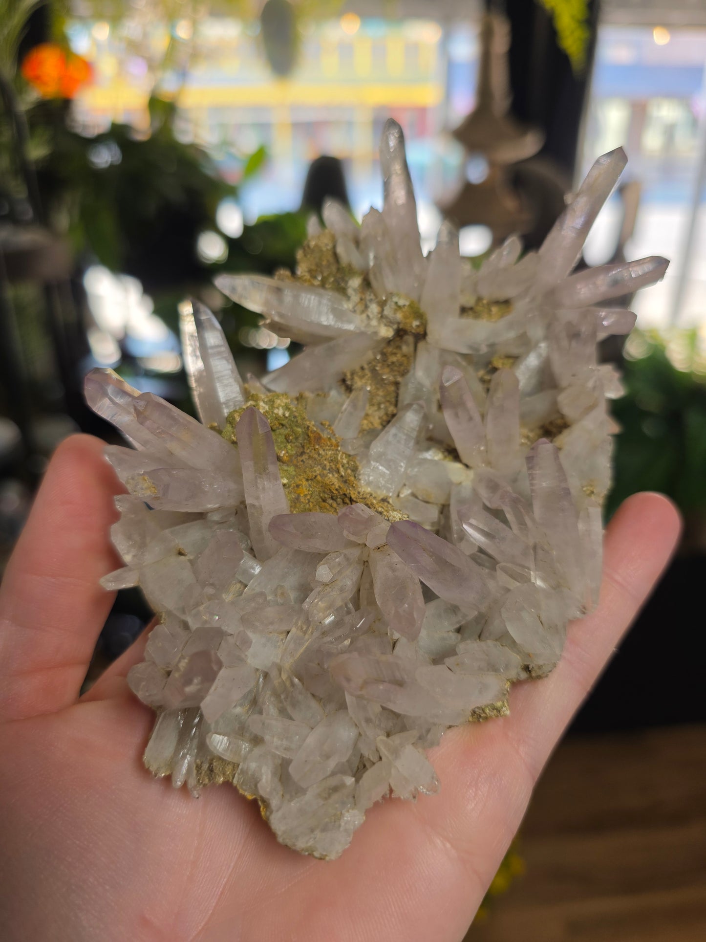 Vera Cruz Amethyst Specimen