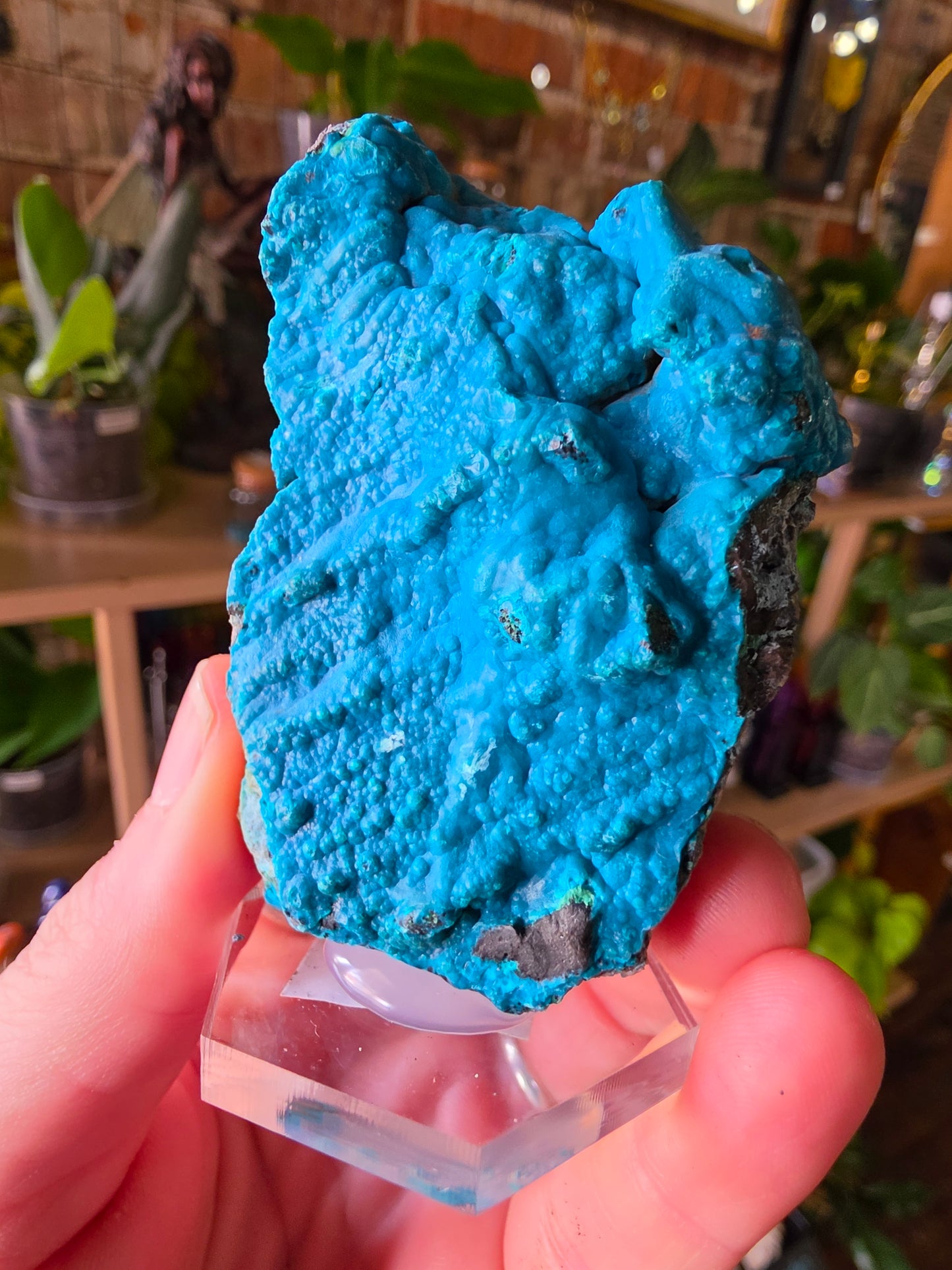 Chrysocolla and Malachite