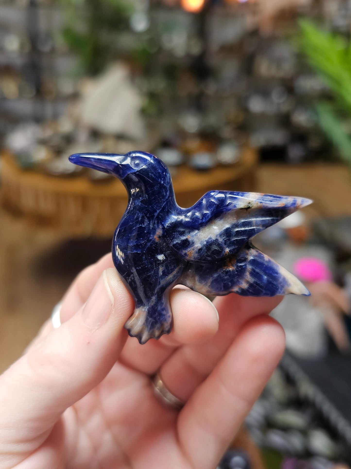 Sodalite Hummingbird Carving