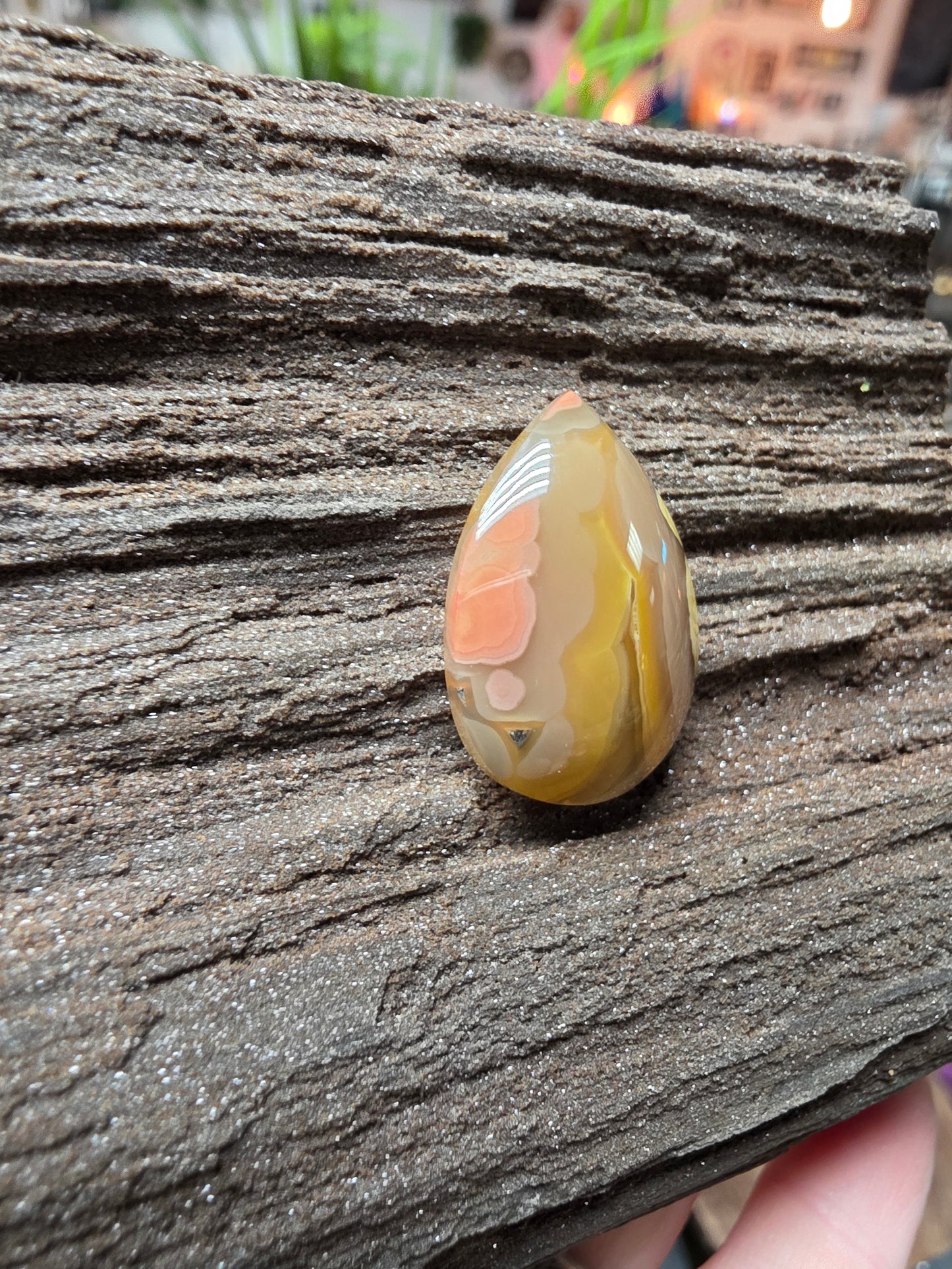 Laguna Agate Cabochon
