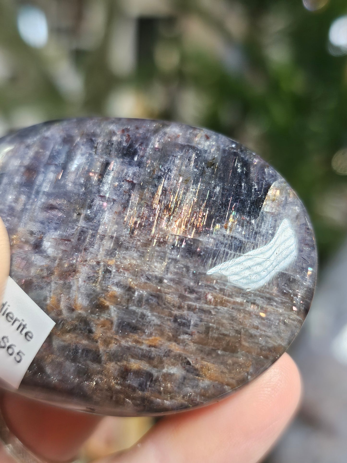 Cordierite Palmstone (lolite)