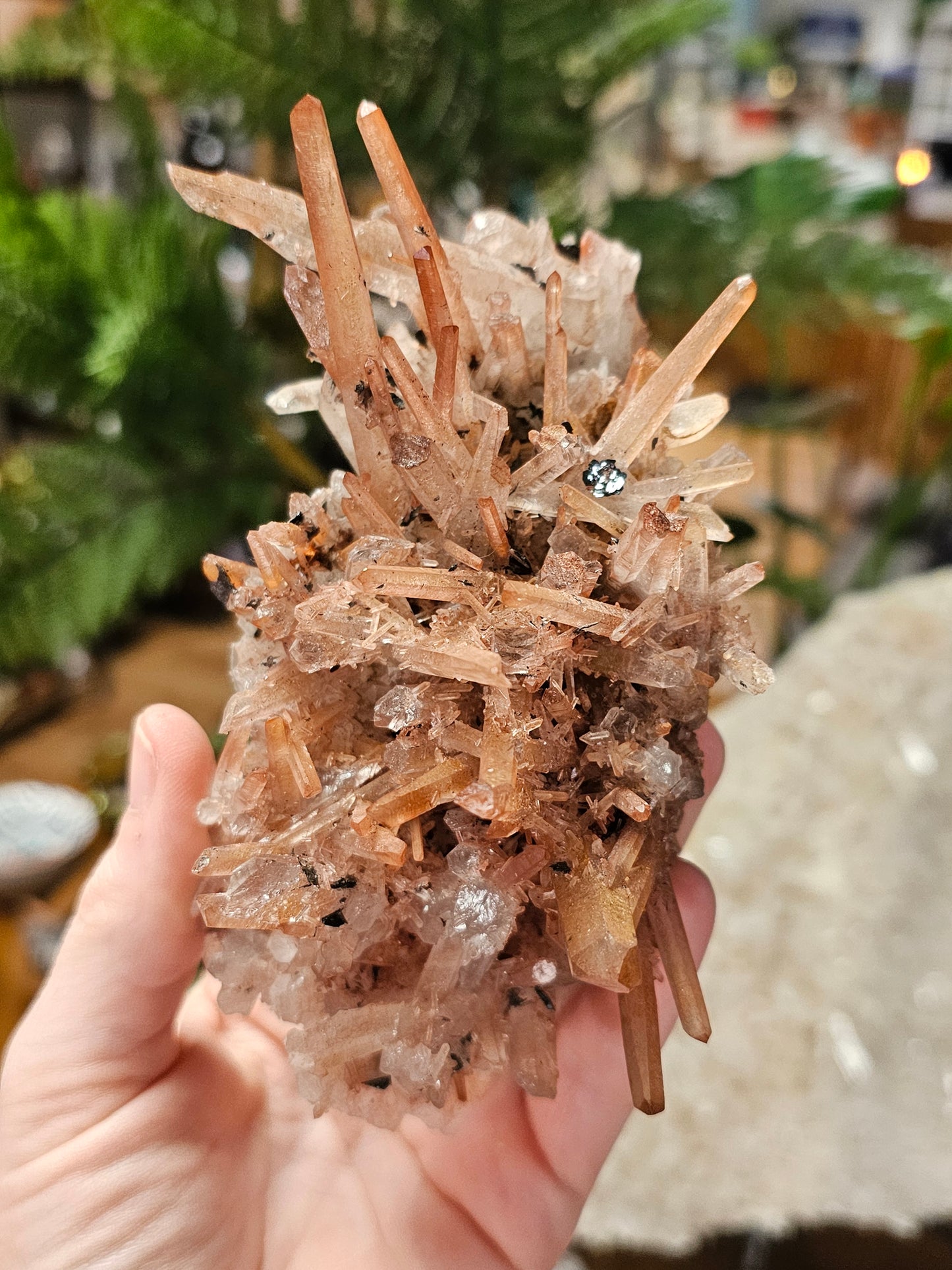 Specular Hematite on Quartz