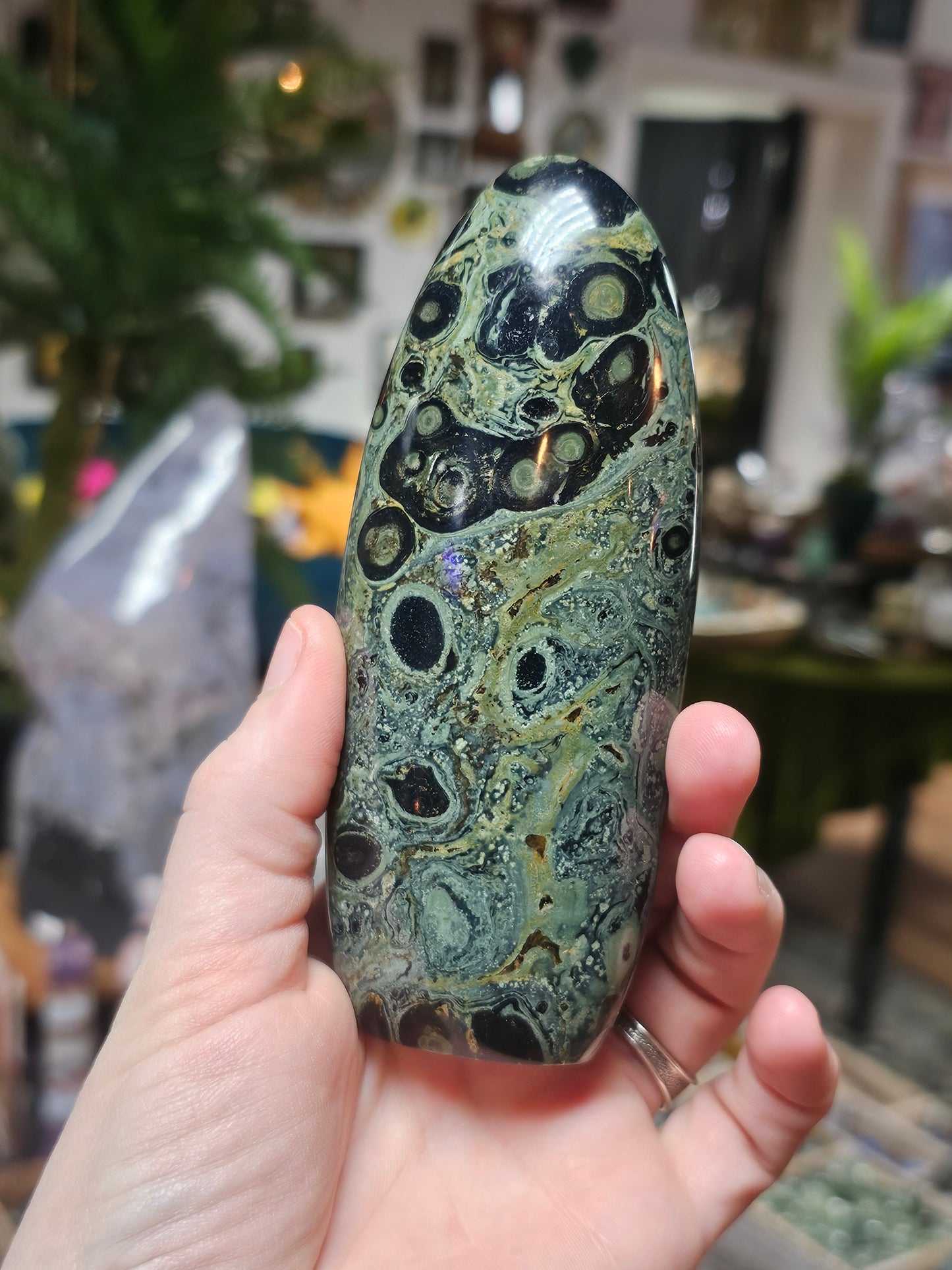 Kambaba Jasper Freeform