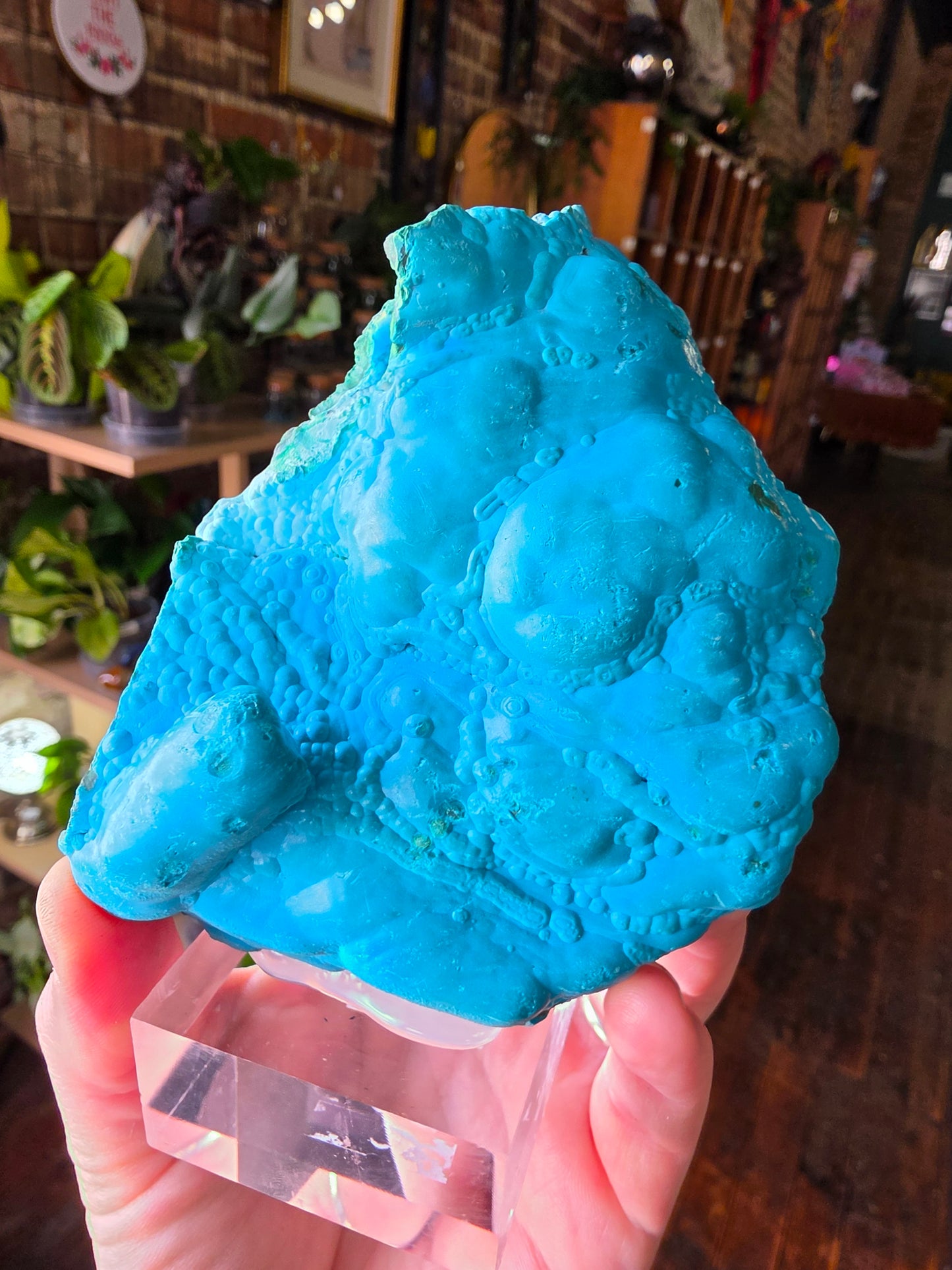 Chrysocolla and Malachite Specimen