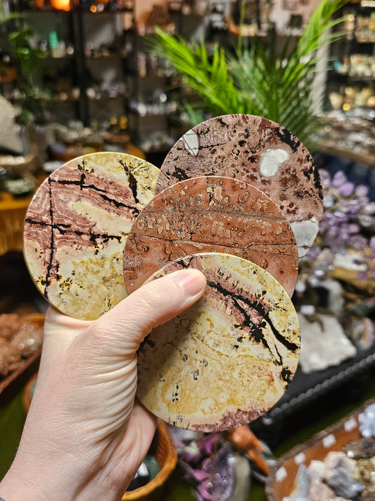 Dendritic Jasper Coaster