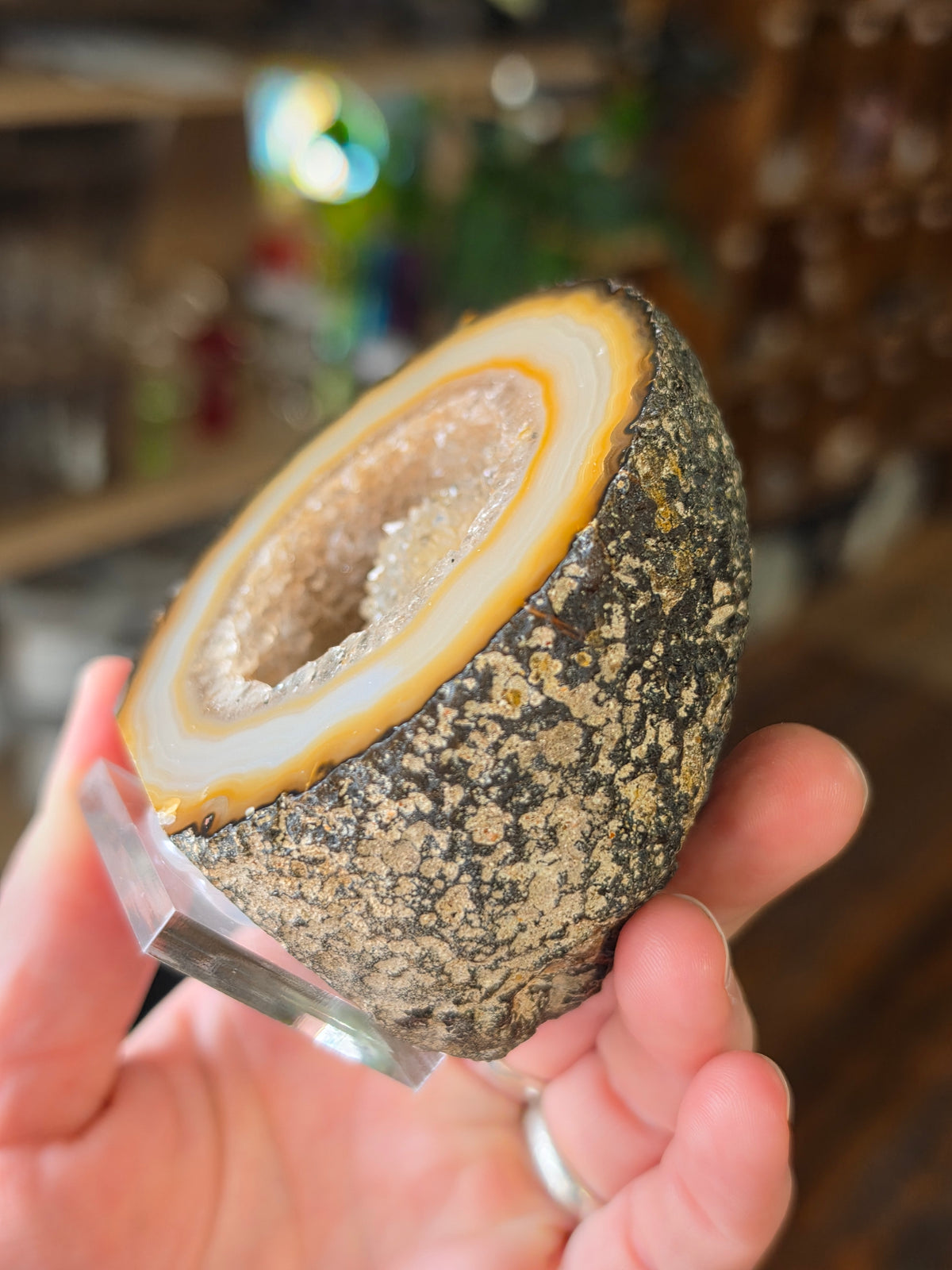 Brazilian Agate Halve