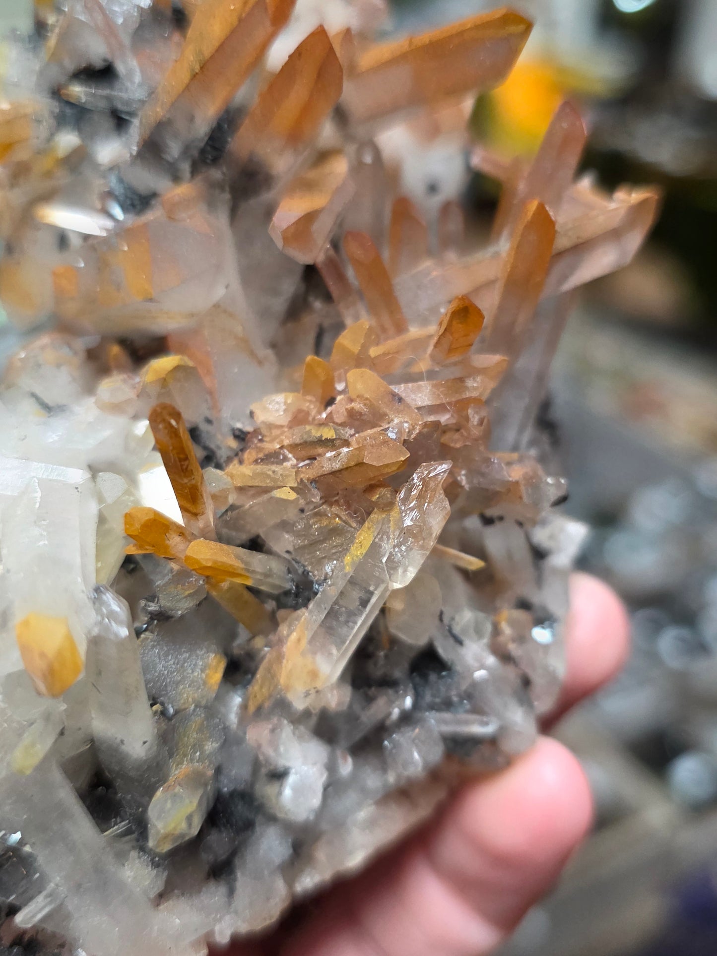 Specular Hematite On Quartz