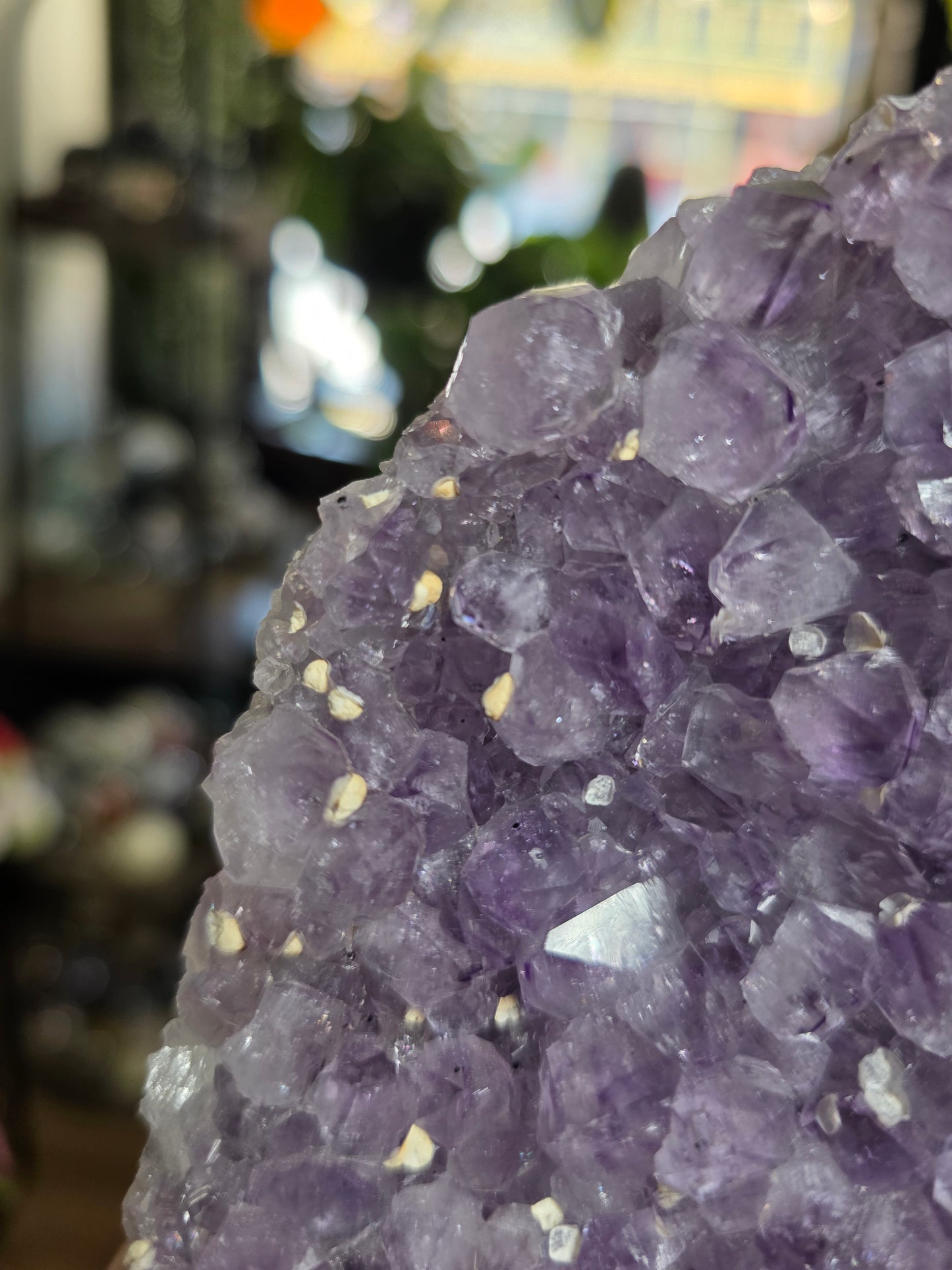 Cutbase Amethyst Freeform