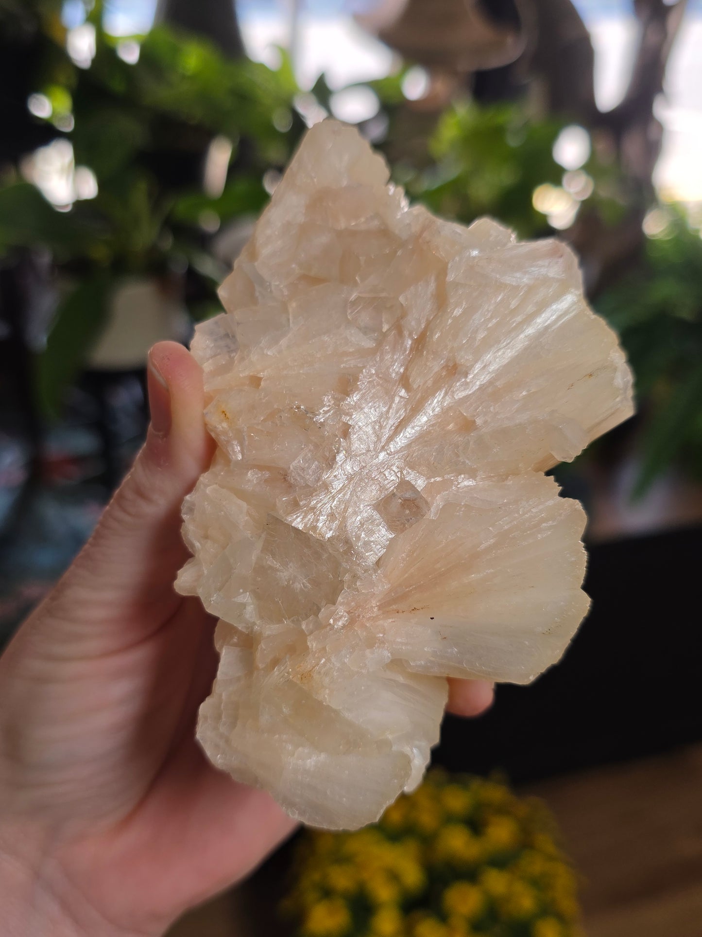 Stillbite with Apophyllite