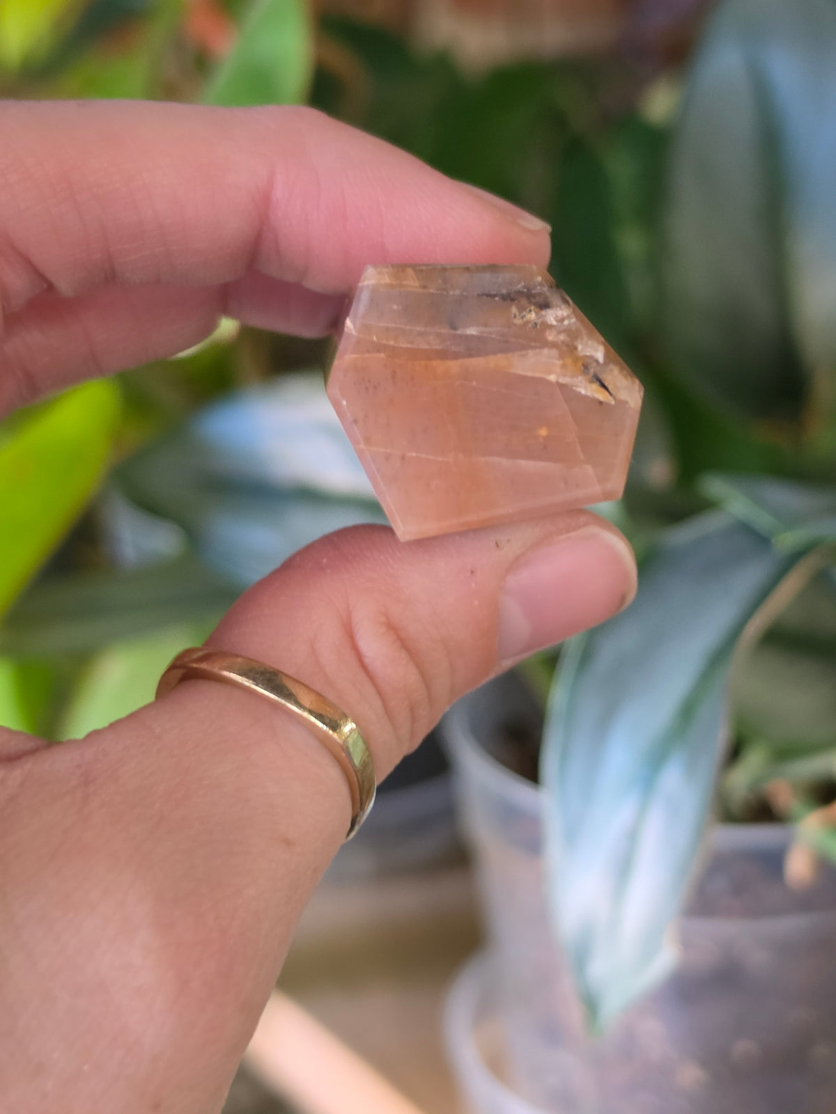 Black Sunstone