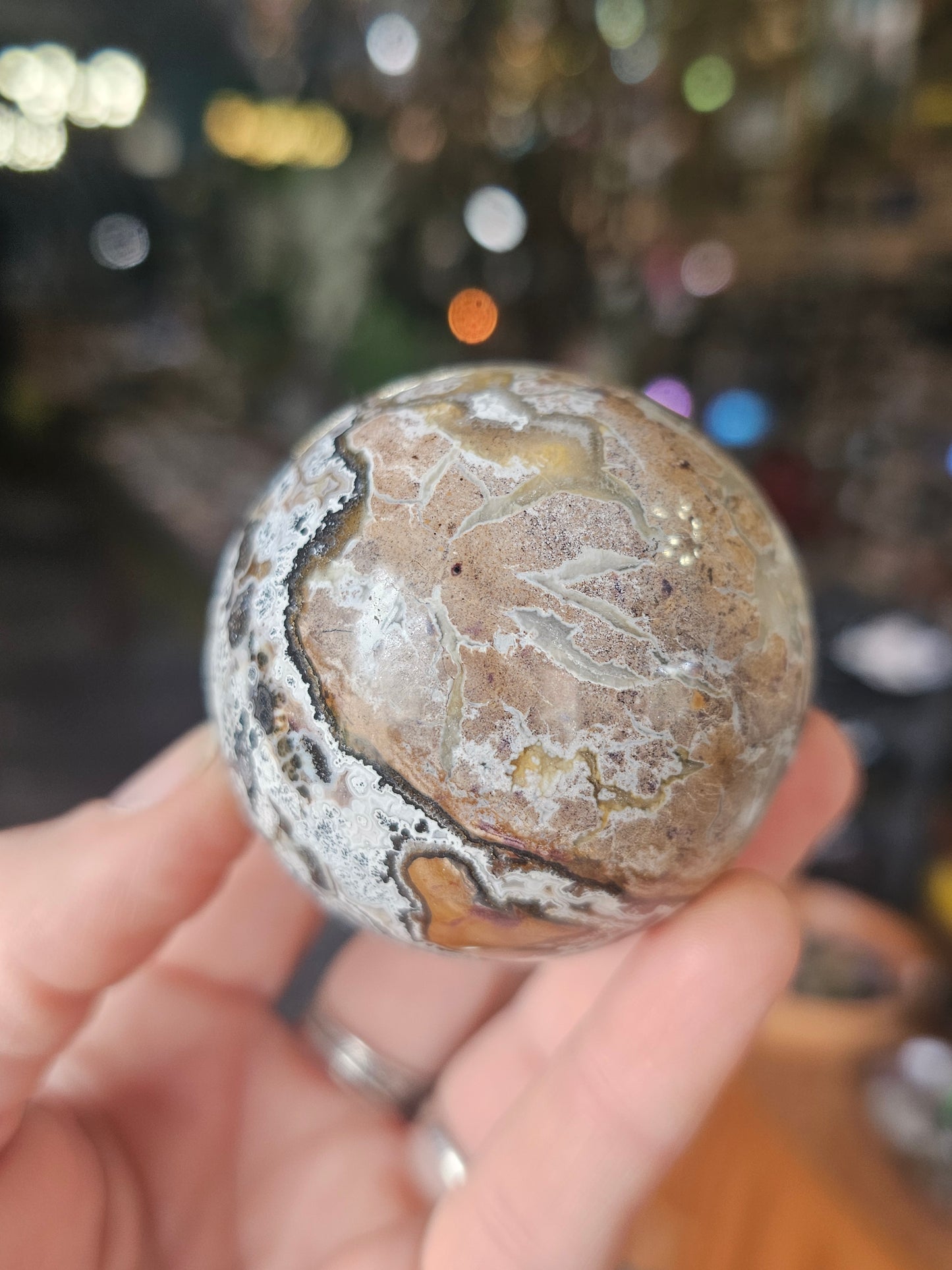Brecciated Canyon Jasper