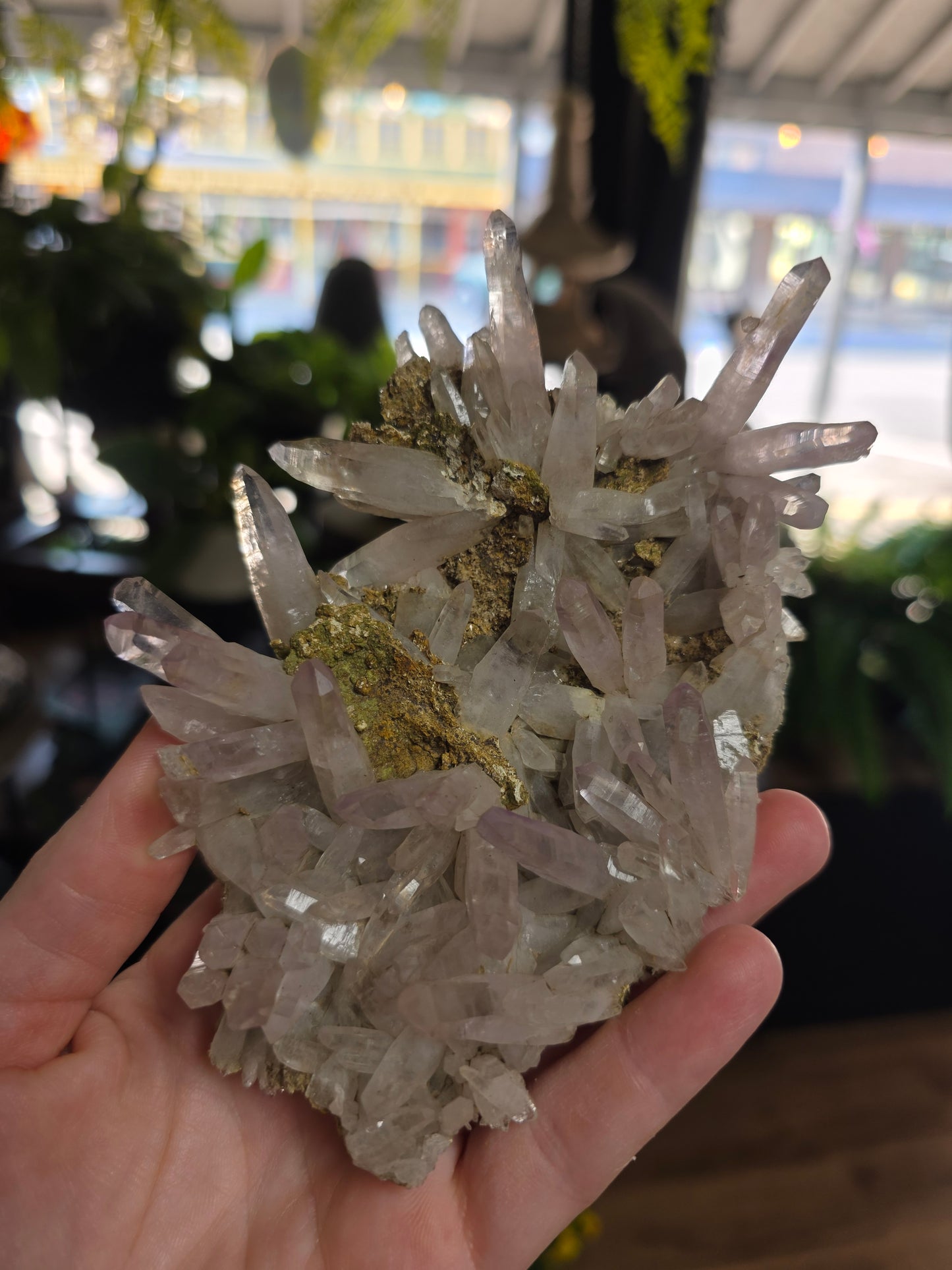 Vera Cruz Amethyst Specimen