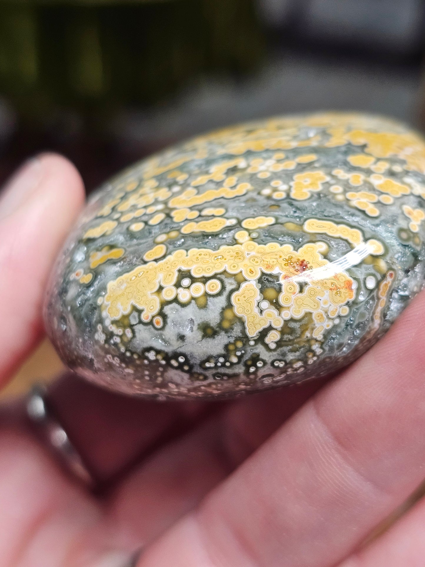 Marovato Ocean Jasper Palmstone
