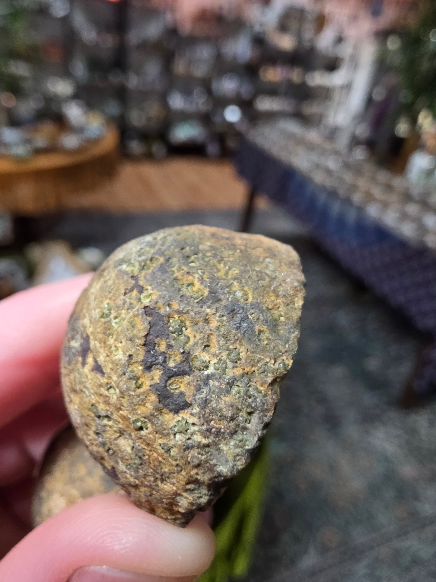 Fighting Blood  Agate