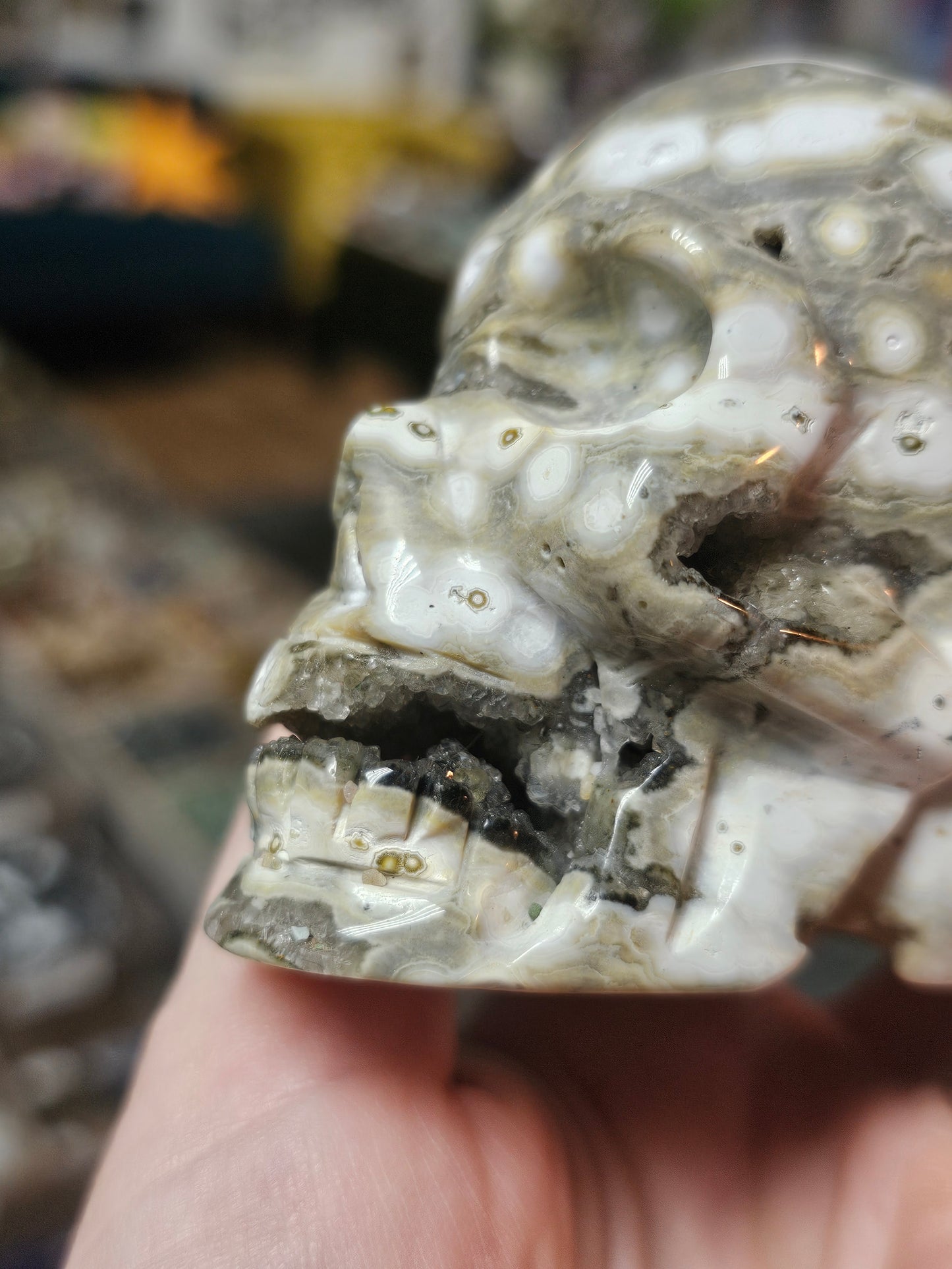 Orbicular Jasper Skull