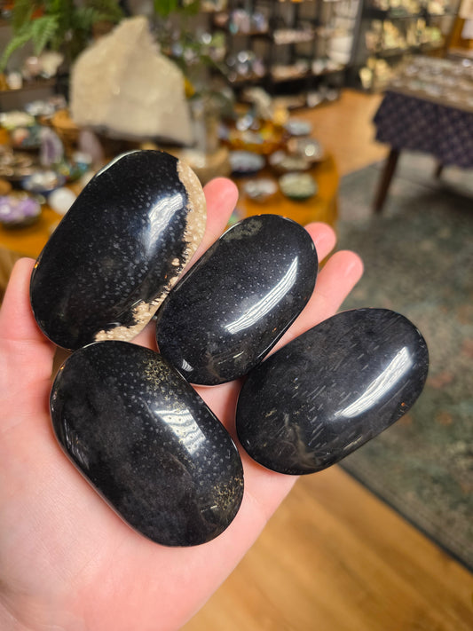 Petrified Palm Wood Palmstone