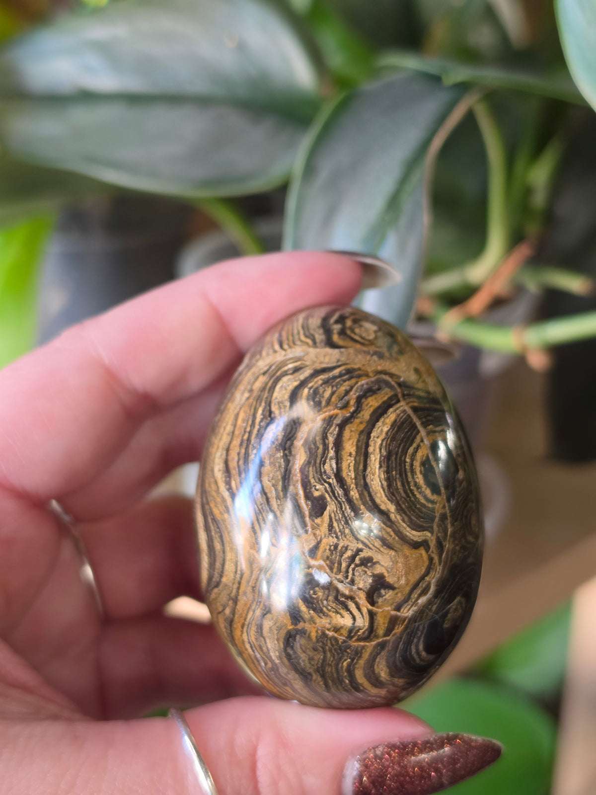 Stromatolite Egg