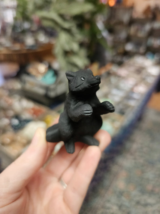 Obsidian Raccoon