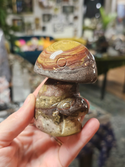 Fancy Jasper Mushroom