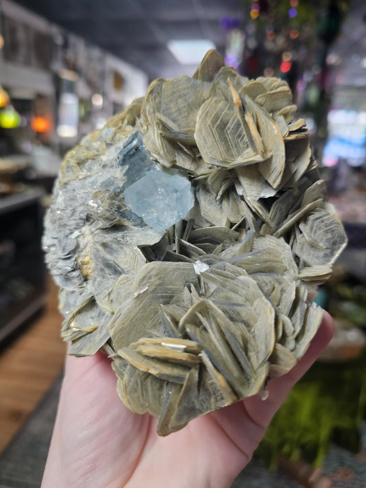 Aquamarine on Muscovite