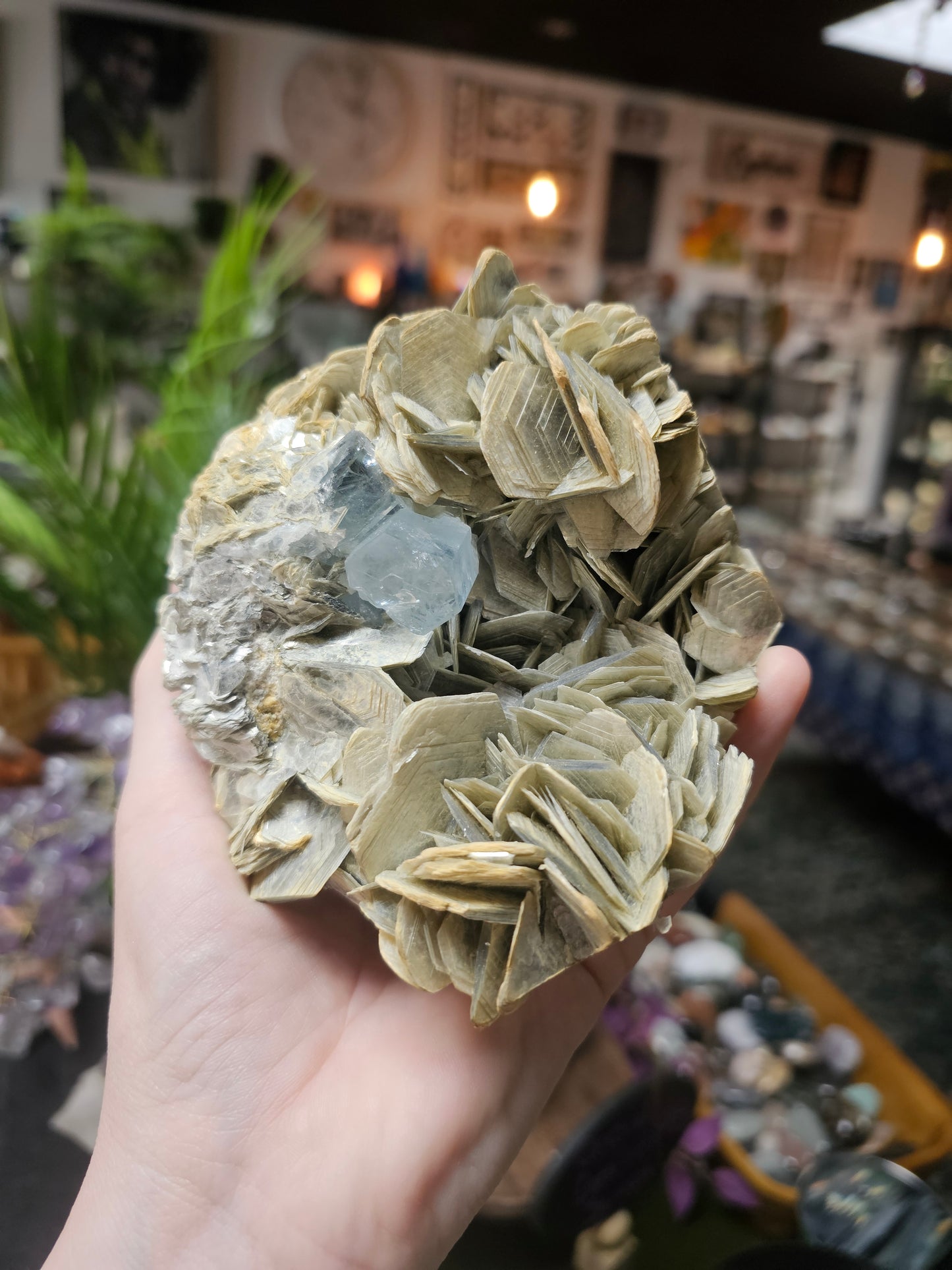 Aquamarine on Muscovite