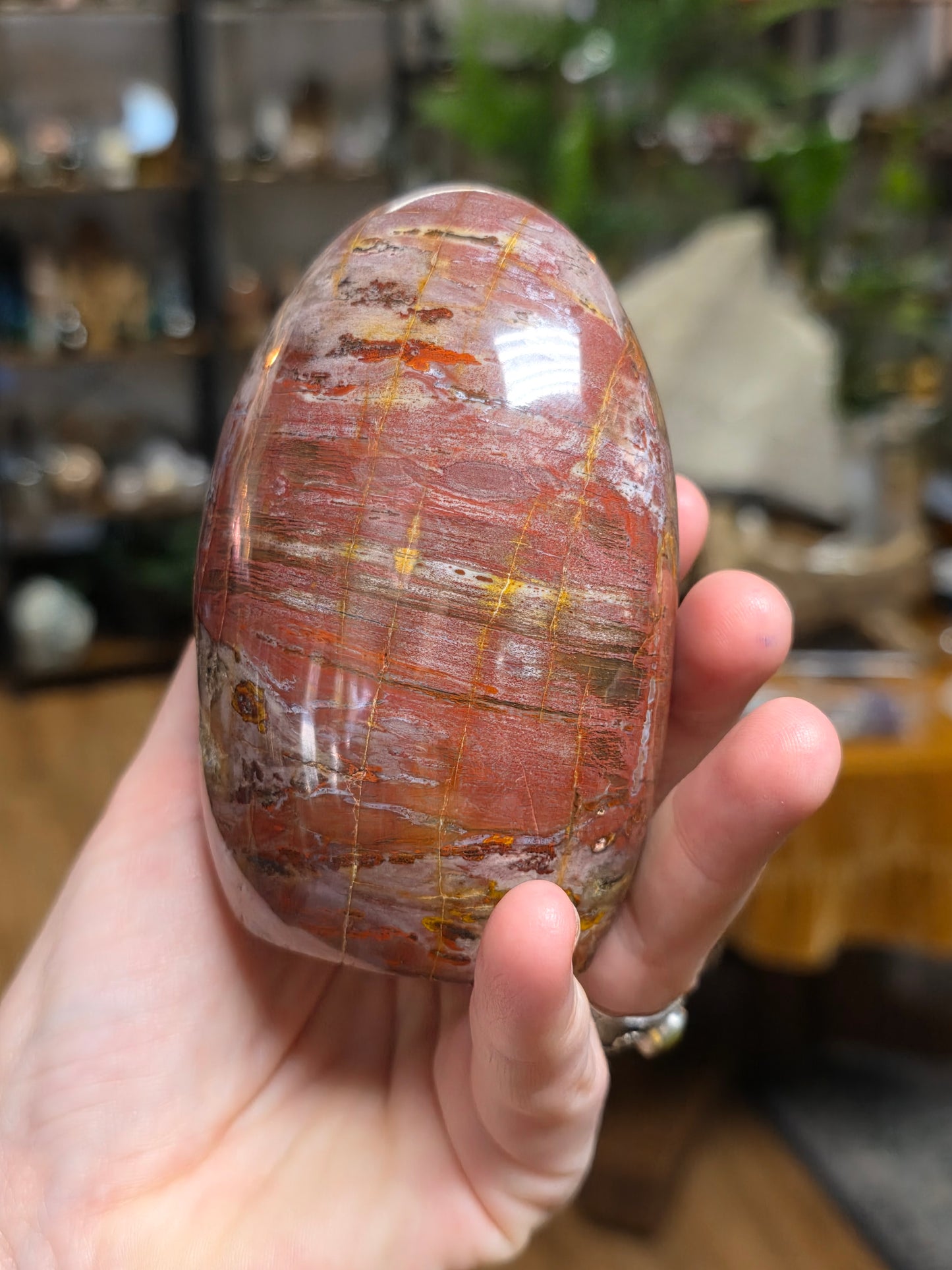 Petrified Wood Freeform