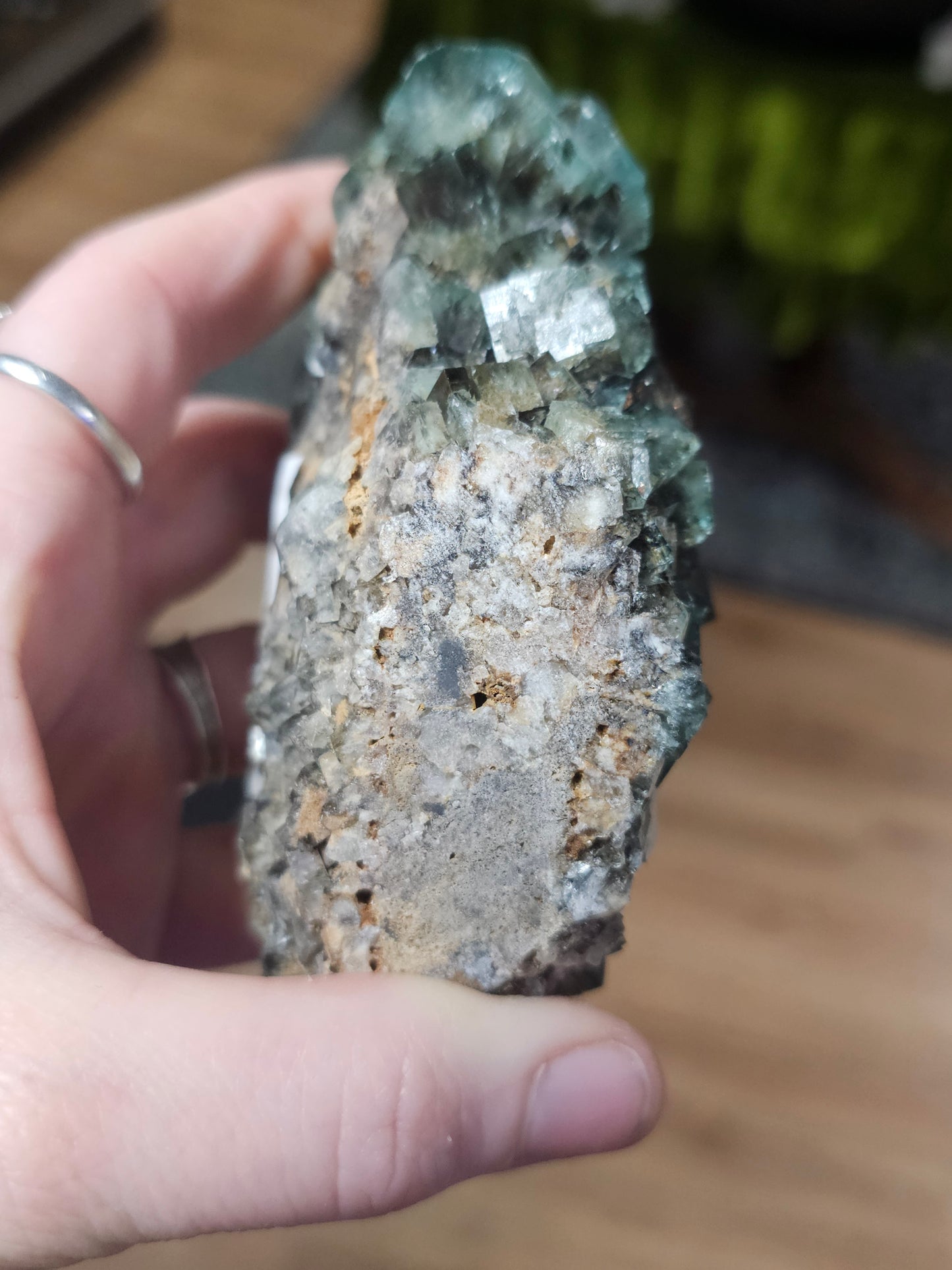Diana Maria Fluorite ( Hidden Forest Pocket)