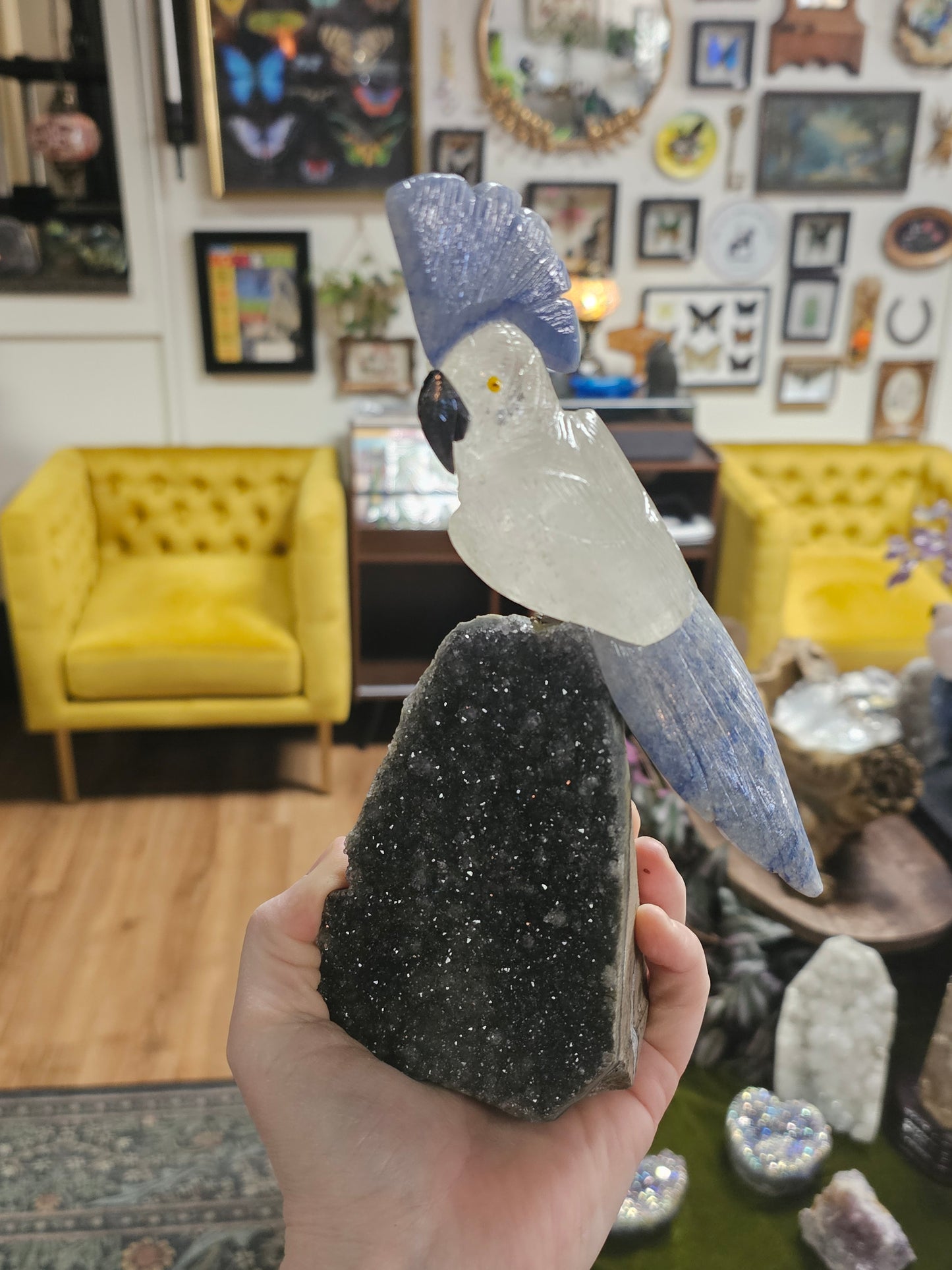Quartz & Blue Adventurine Cockatoo Carving On Black Amethyst Cut Base Freeform