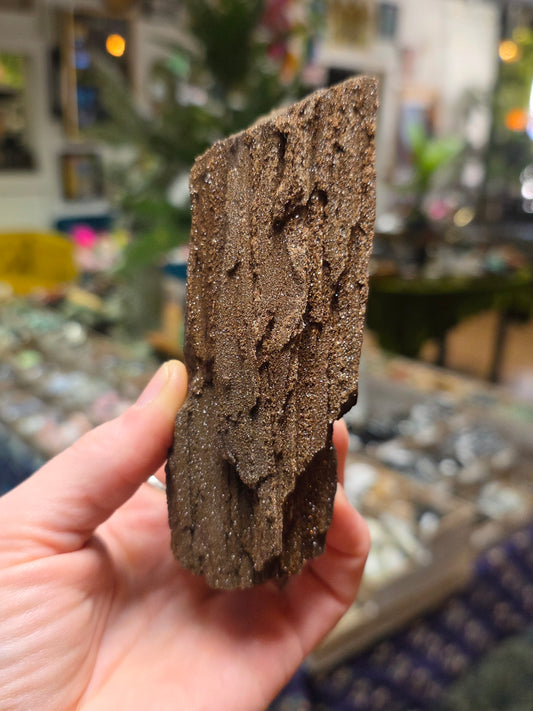 Permineralized Wood
