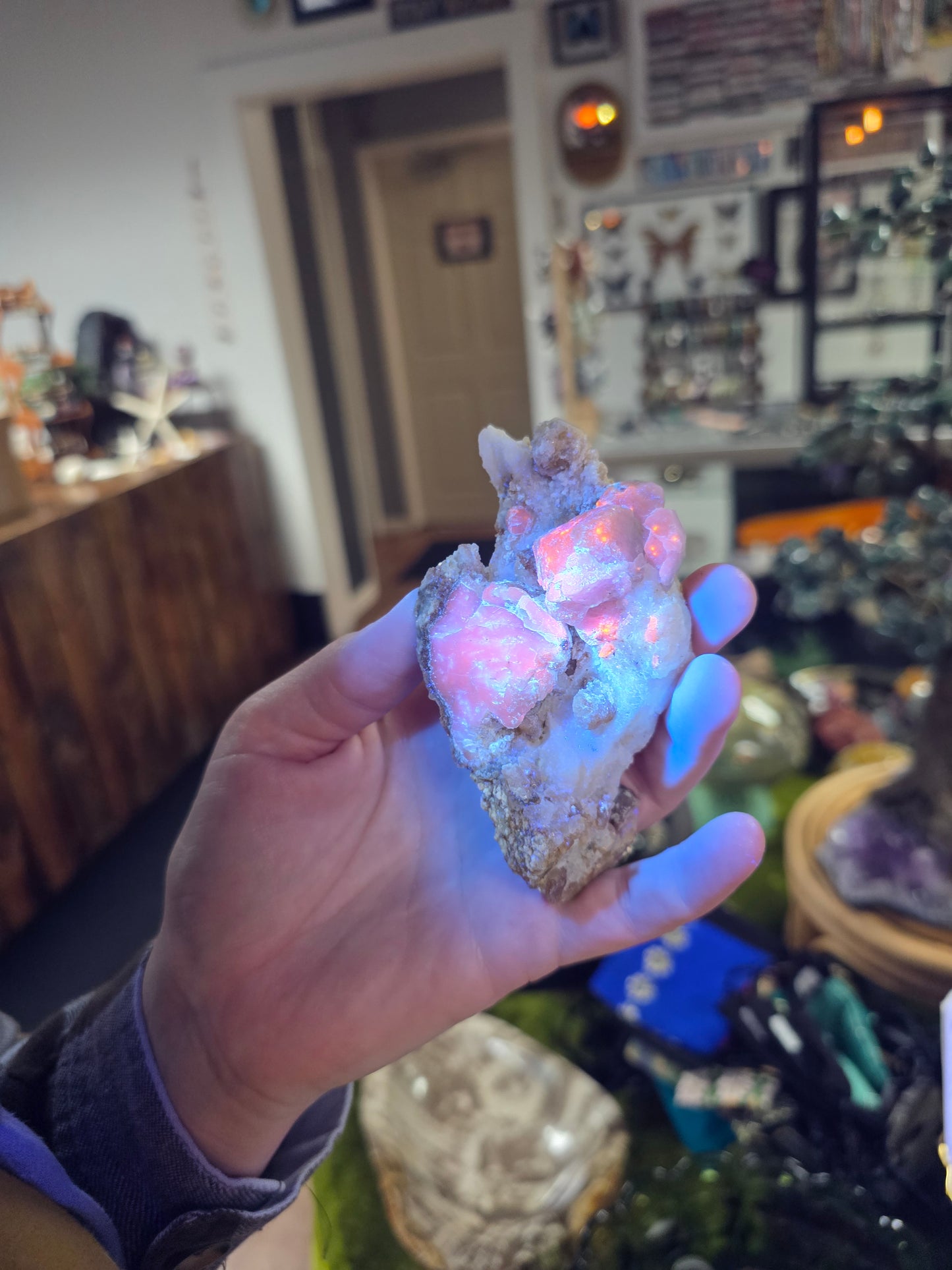Hackmanite Specimen