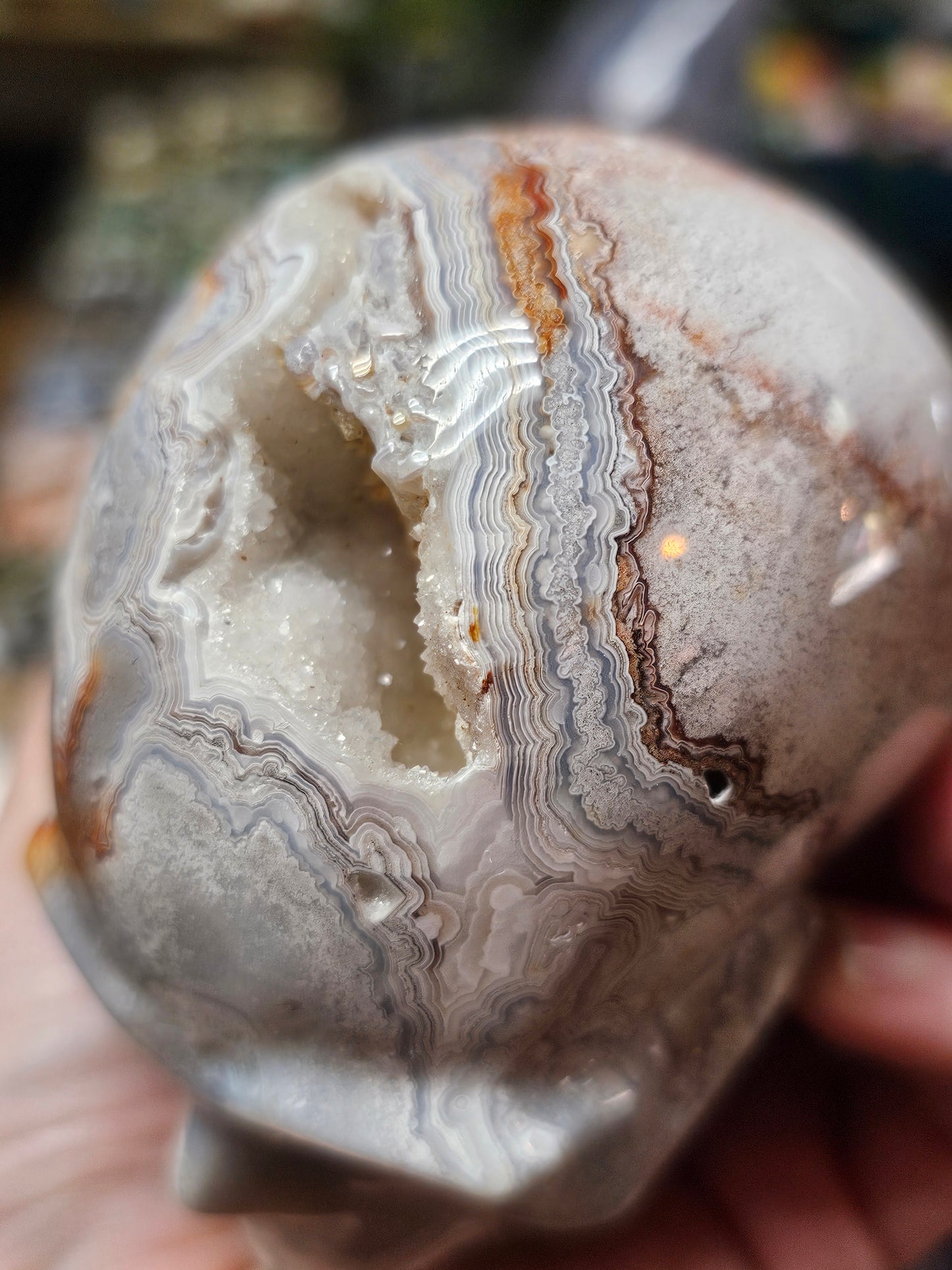 Laguna Lace Agate Skull