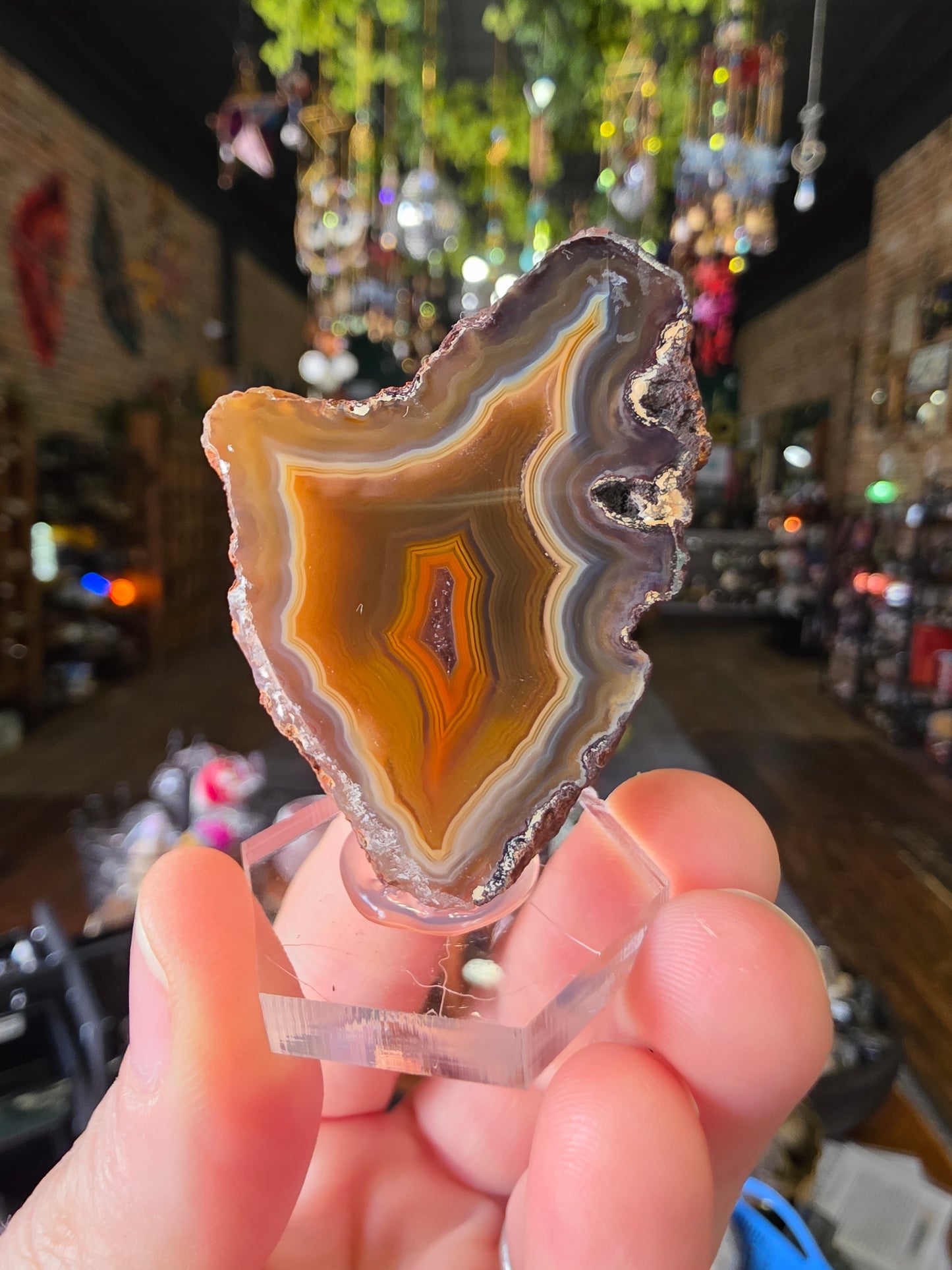 Gambiri Agate Halve