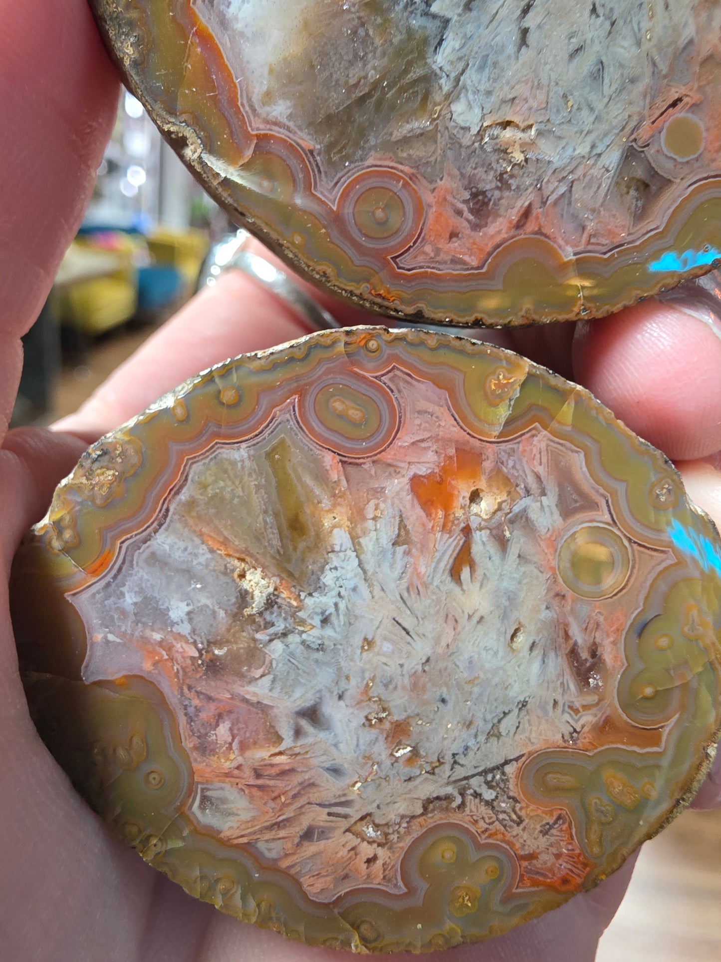 Chinese Fighting Blood Agate