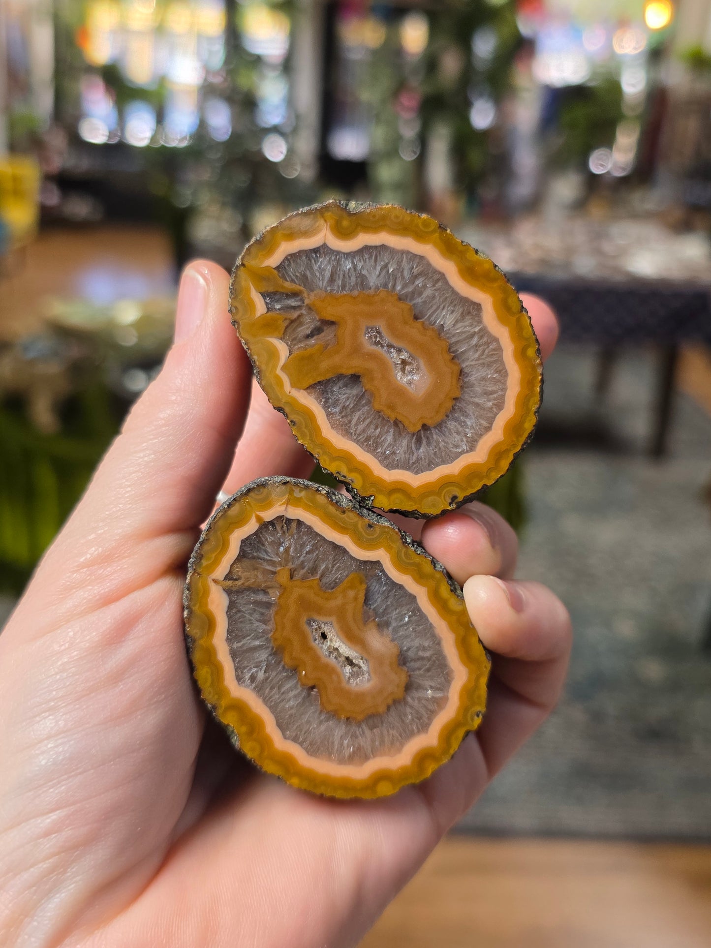 Fighting Blood Agate
