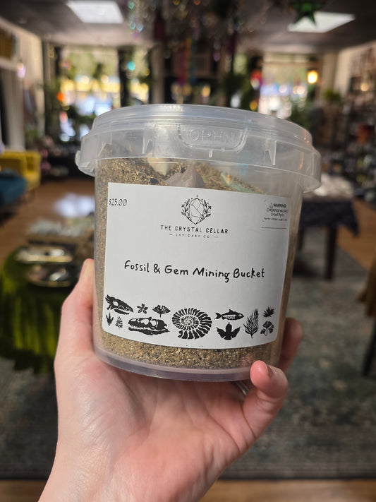 Small Fossil and Gemstone Mining Bucket