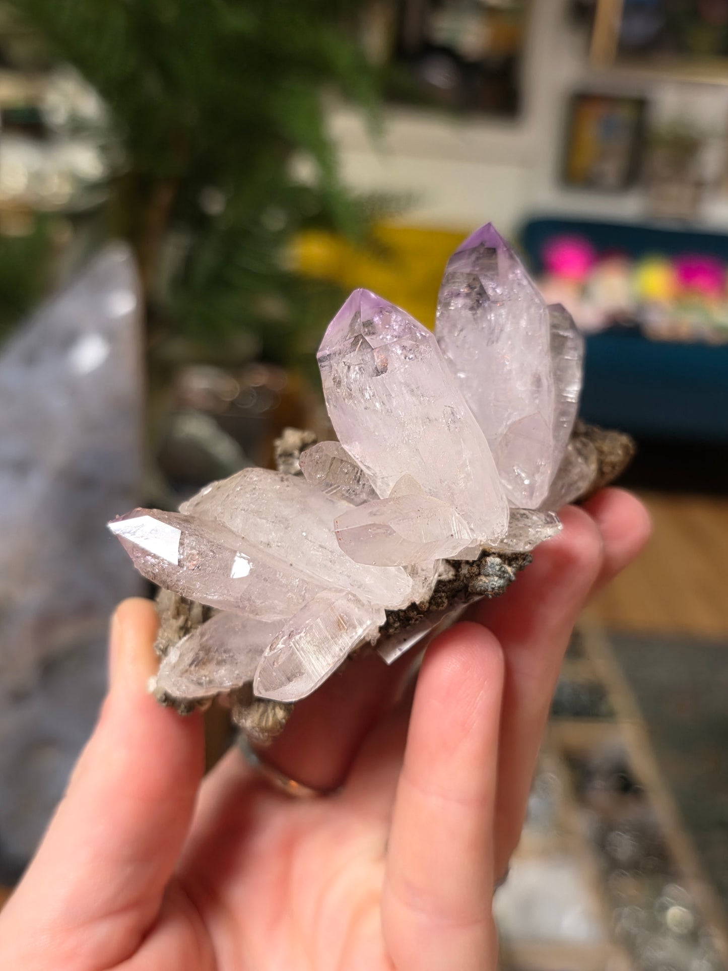 Vera Cruz Amethyst On Dolomite